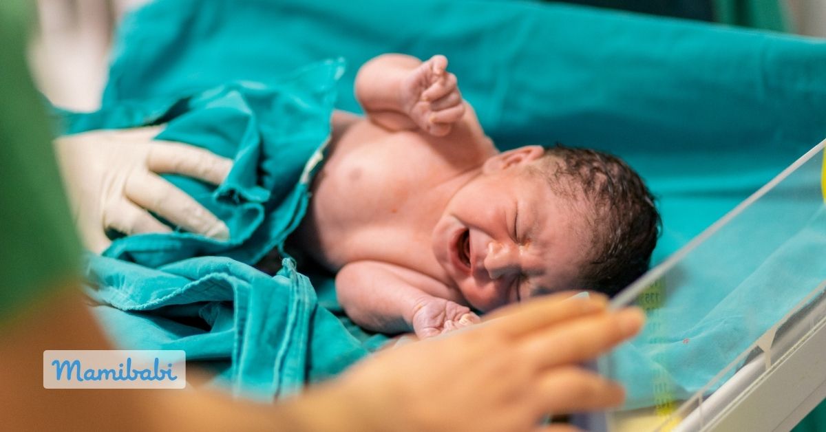 Làm quen với em bé sơ sinh của mẹ