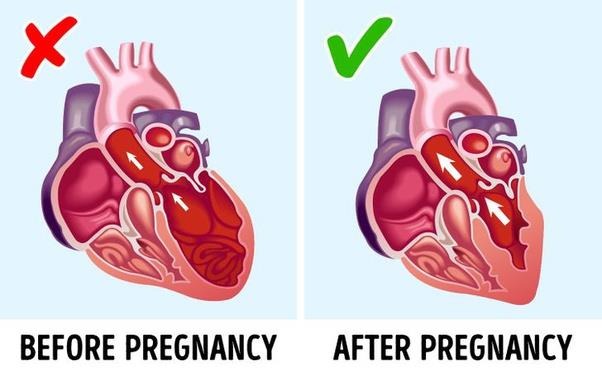 Một thai nhi có thể chữa lành cho mẹ trong quá trình mang thai.

Không chỉ riêng người mẹ mới quan tâm và bảo vệ sức khỏe cho trẻ, mà ngay bản thân thai nhi cũng có thể làm điều đó cho mẹ.

Khi ở trong tử cung, em bé có thể gửi những tế bào gốc của mình tới những cơ quan đã hỏng của người mẹ để hồi phục chúng.

Sự vận chuyển và hợp nhất của tế bào gốc của phôi thai tới các cơ quan của người mẹ được gọi là Uterine microchimerism.
