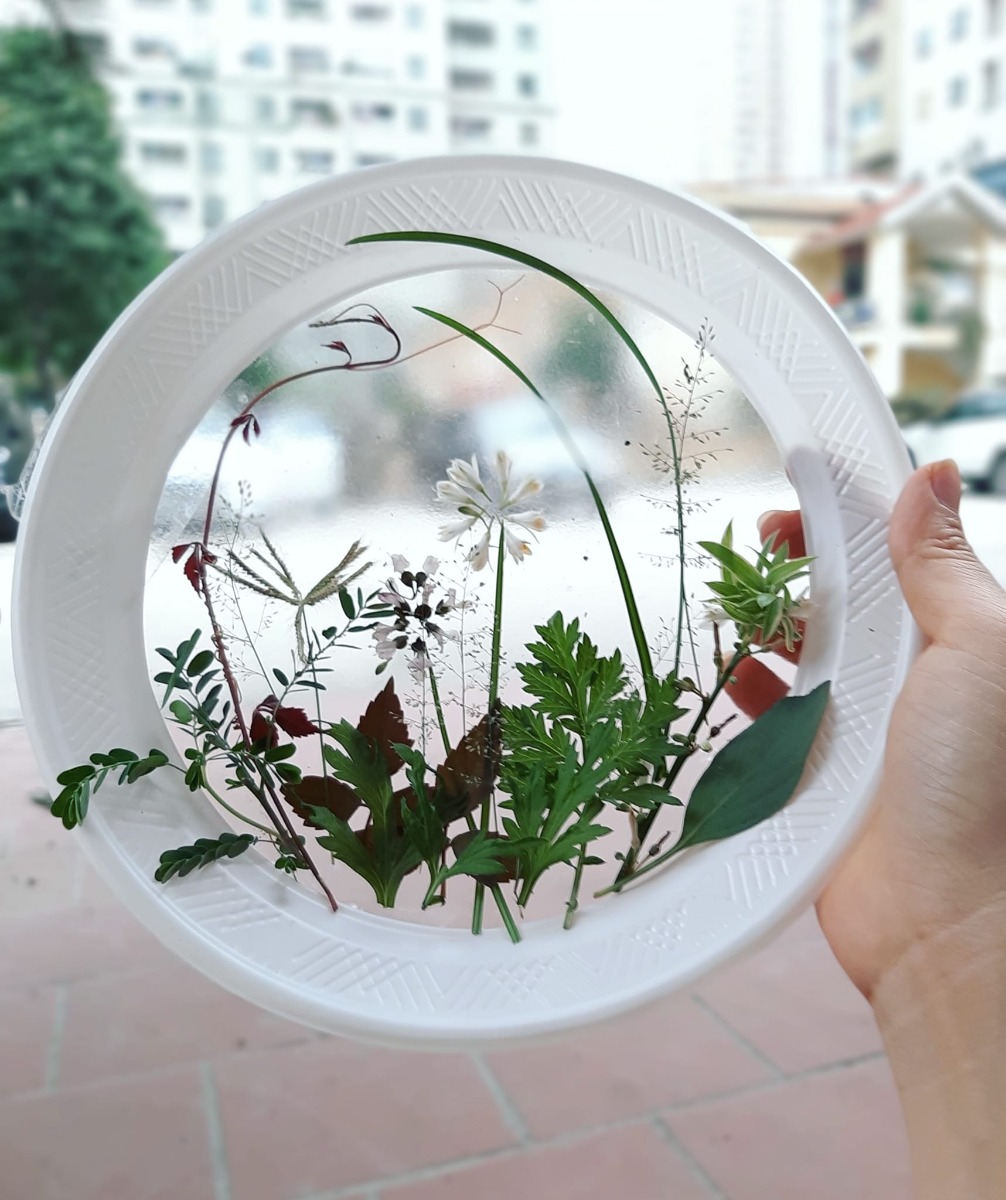 Phát hiện ra cỏ cây hoa lá xung quanh mình thật đẹp .
Nguyên liệu sử dụng là nhưng chiếc đĩa giấy . Sau đó cắt đáy và dán đề can hoặc băng dính vào đáy của chiếc đĩa. Cuối cùng chúng mình sẽ sáng tạo ra những bức tranh theo ý thích 🥰
Cùng Hahi nhà mình sáng tạo nhé 😚
