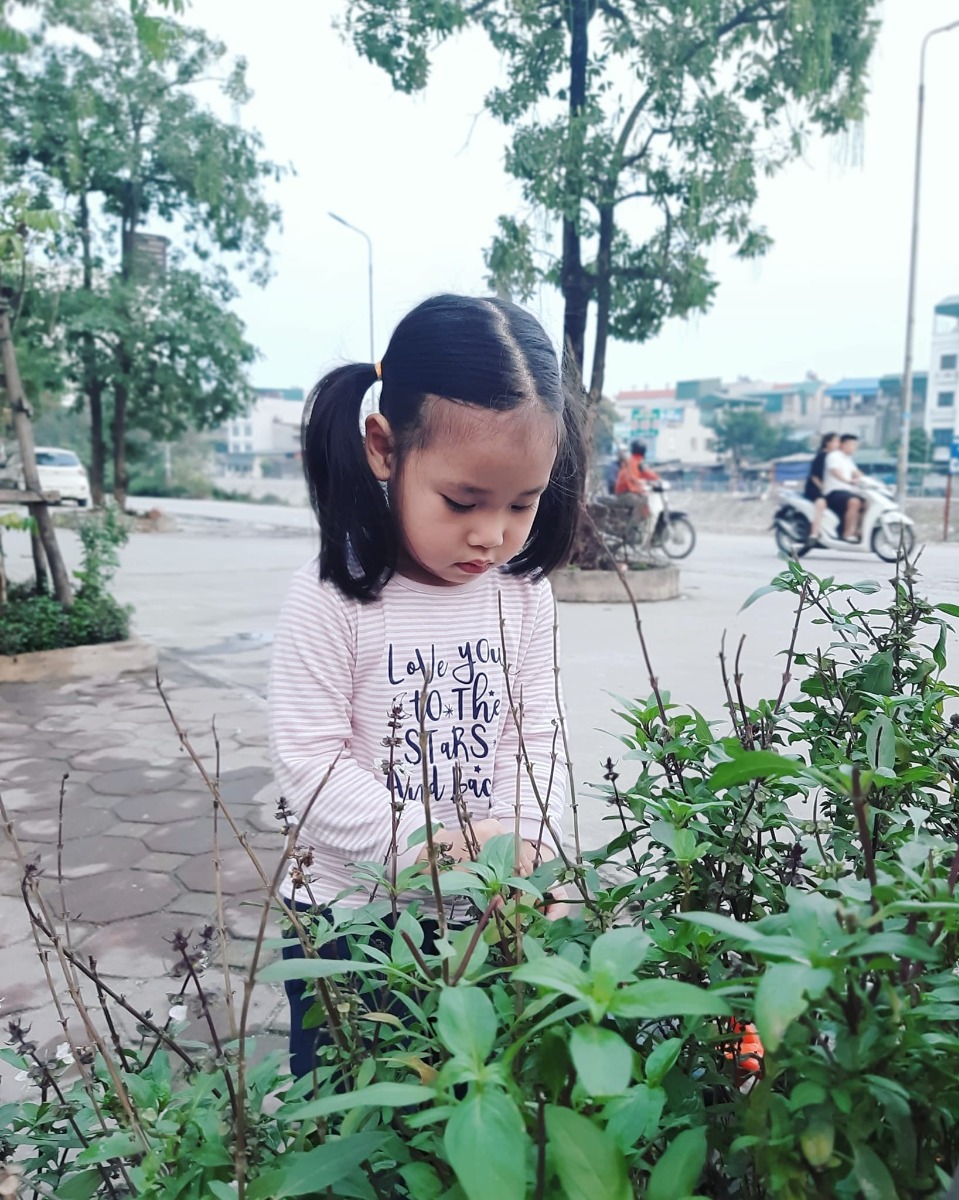 Phát hiện ra cỏ cây hoa lá xung quanh mình thật đẹp .
Nguyên liệu sử dụng là nhưng chiếc đĩa giấy . Sau đó cắt đáy và dán đề can hoặc băng dính vào đáy của chiếc đĩa. Cuối cùng chúng mình sẽ sáng tạo ra những bức tranh theo ý thích 🥰
Cùng Hahi nhà mình sáng tạo nhé 😚