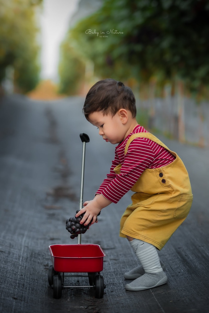 CHO TRẺ RA VƯỜN NHO 🍇

Post mãi ảnh con nhà người ta rồi, hôm nay em cho bạn Cam lên sóng trở lại ạ :)))

Nghe nói mới có vườn nho trĩu quả nên bố mẹ cháu xách ngay cháu lên đường.

Vườn nho cách nhà em (Hà Đông) 23km, phía bên kia cầu Nhật Tân, đường to dễ đi, vèo cái là đến. Các bác google "ChimiFarm 4" là ra luôn ạ.

Bên này có vườn nho khá rộng, nho cũng thấp thôi nên các bé có thể tự hái được. Ngoài ra còn có chuồng nuôi thỏ, chim cho các bé trải nghiệm cho thỏ ăn. Em nghe thấy cả tiếng dê nhưng mà chưa nhìn thấy đâu.
Khi đi bố mẹ nhớ chuẩn bị thêm củ, rau để các con cho thỏ ăn nha ^^

Nhà em cho con ăn trưa xong là bê nhau lên đường, con ngủ trưa trên xe, đến nơi dậy chơi vui vẻ là vừa ❤

Giá vé tham quan: 30k/người lớn, gửi xe miễn phí, hái nho đem về 200k/kg.

Đồ uống: nước ép nho, dâu tây... 50~80k

Chúc cả nhà thu hoạch được đầy xe 😆