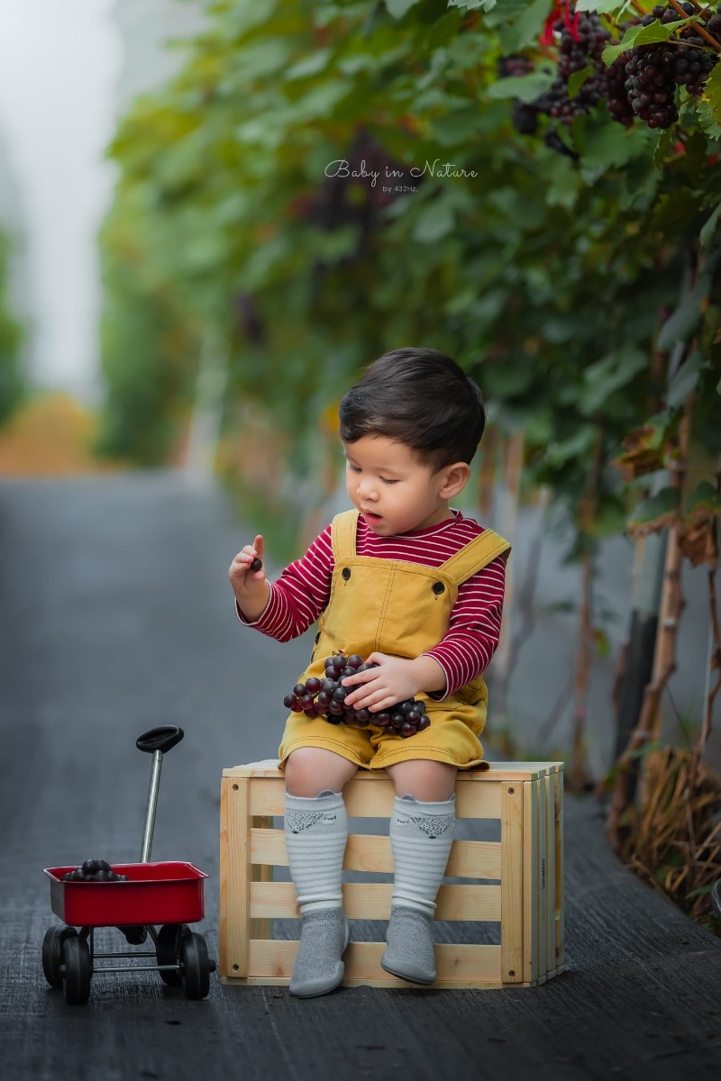 CHO TRẺ RA VƯỜN NHO 🍇

Post mãi ảnh con nhà người ta rồi, hôm nay em cho bạn Cam lên sóng trở lại ạ :)))

Nghe nói mới có vườn nho trĩu quả nên bố mẹ cháu xách ngay cháu lên đường.

Vườn nho cách nhà em (Hà Đông) 23km, phía bên kia cầu Nhật Tân, đường to dễ đi, vèo cái là đến. Các bác google "ChimiFarm 4" là ra luôn ạ.

Bên này có vườn nho khá rộng, nho cũng thấp thôi nên các bé có thể tự hái được. Ngoài ra còn có chuồng nuôi thỏ, chim cho các bé trải nghiệm cho thỏ ăn. Em nghe thấy cả tiếng dê nhưng mà chưa nhìn thấy đâu.
Khi đi bố mẹ nhớ chuẩn bị thêm củ, rau để các con cho thỏ ăn nha ^^

Nhà em cho con ăn trưa xong là bê nhau lên đường, con ngủ trưa trên xe, đến nơi dậy chơi vui vẻ là vừa ❤

Giá vé tham quan: 30k/người lớn, gửi xe miễn phí, hái nho đem về 200k/kg.

Đồ uống: nước ép nho, dâu tây... 50~80k

Chúc cả nhà thu hoạch được đầy xe 😆