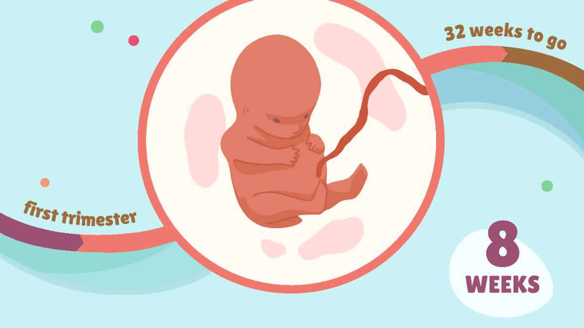 THAI 8 TUẦN PHÁT TRIỂN NHƯ THẾ NÀO? MẸ BẦU CẦN LƯU Ý ĐIỀU GÌ? 

Dưới đây là chia sẻ của anh Phạm Ngọc Thắng, nhà sáng lập ứng dụng thai giáo Mamibabi, đồng thời là tác giả cuốn sách “Rủ chồng thai giáo” về sự phát triển của thai nhi 8 tuần tuổi: 

- Thai 8 tuần kích thước bao nhiêu? 
- Hình ảnh thai 8 tuần 
- Thai 8 tuần có máy không? 
- Thai 8 tuần đã bám chắc chưa? 
- Thai 8 tuần có tim thai chưa?  
- Thai 8 tuần chưa có tim thai 
- Sảy thai 8 tuần có dấu hiệu gì?  
- Nhịp tim thai 8 tuần biết trai hay gái được không? 
- Khám thai 8 tuần 
- Thai giáo tuần thứ 8 
- Thai 8 tuần nên ăn gì? 
- Vận động tuần thứ 8 

💝 THAI 8 TUẦN KÍCH THƯỚC BAO NHIÊU? 
Ở tuần này, bé vẫn chỉ nặng khoảng 1g, và dài 1,6cm, tương đương với một quả nho bé, một quả phúc bồn tử hoặc một quả ôliu. 

💝 HÌNH ẢNH THAI 8 TUẦN 
Khi nhìn ảnh siêu âm được phóng to, mẹ sẽ thấy phần đầu của bé rất nổi bật, và là phần lớn nhất của cơ thể. Đầu của con cũng trong tư thế dường như đang cúi gập xuống nữa. Toàn thân con đã không còn cong giống hình chữ C nữa mà đã duỗi thẳng hơn so với những tuần trước. Phần đuôi của con cũng đã biến mất. 

Các ngón chân và ngón tay của con đã bắt đầu tách dần ra, nhưng phần màng nối giữa các ngón vẫn còn chứ chưa hết hẳn.  

Ở tuần này, khuôn mặt của con đang phát triển, cụ thể là phần môi, mũi và mí mắt. Và đặc biệt, con cũng đã biết máy rồi mẹ nhé. 

💝 THAI 8 TUẦN CÓ MÁY KHÔNG? 
Đa số thai nhi sẽ bắt đầu máy vào tuần thứ 7 hoặc thứ 8, tức là ở tuần này con đã máy rồi đó ạ. Nhưng vì con còn quá nhỏ nên mẹ sẽ chưa thể cảm nhận được. Thường thì đến khoảng tháng thứ 4 của thai kỳ mẹ mới bắt đầu cảm thấy con máy. Có mẹ sẽ cảm thấy sớm hơn và có mẹ cảm thấy muộn hơn chút, tùy vào thể trạng cũng như sự nhảy cảm của mỗi người. 

💝 THAI 8 TUẦN ĐÃ BÁM CHẮC CHƯA? 
Tuy con đã máy nhưng vẫn chưa bám chắc vào tử cung mẹ nhé. Và không chỉ tuần thứ 8 mà trong 3 tháng đầu nói chung, mẹ vẫn nên cẩn trọng nhất có thể để tránh xảy ra các rủi ro. 

💝 THAI 8 TUẦN CÓ TIM THAI CHƯA? 
Ở tuần này con đã có tim thai rồi nên khi đi khám mẹ có thể nhờ bác sĩ cho mình nghe tim thai con nhé. Tuần thứ 8, khi lần đầu được nghe nhịp tim con, với mình đó là một cảm giác vô cùng thú vị và là một khoảnh khắc đáng nhớ, nên bố mẹ đừng bỏ qua nhé. Nếu bố mẹ nào thích thì bảo bác sĩ bật loa to lên và mở điện thoại ra ghi âm lại những nhịp tim đầu tiên của con cũng rất ý nghĩa đó ạ. 

💝 THAI 8 TUẦN CHƯA CÓ TIM THAI? 
Có vài trường hợp hiếm gặp, mẹ mang bầu 8 tuần nhưng chưa thấy tim thai. Điều này có thể do một số sai sót như tính sai tuổi thai, hoặc do máy móc; nhưng cũng có thể là một trong các dấu hiệu của việc thai lưu. Mẹ cần đi khám cụ thể, cần kiểm tra túi ối, phôi thai… thì bác sĩ mới có thể kết luận được. 

💝 SẢY THAI 8 TUẦN CÓ DẤU HIỆU GÌ? 
Trong trường hợp mẹ có các dấu hiệu như ra máu đỏ tươi, đau bụng dưới, đau lưng, chuột rút, chóng mặt, ngất xỉu… hoặc các dấu hiệu bất thường một cách trầm trọng, mẹ nên tới gặp bác sĩ ngay, vì đó rất có thể là dấu hiệu sảy thai. 

💝 NHỊP TIM THAI 8 TUẦN BIẾT TRAI HAY GÁI ĐƯỢC KHÔNG? 
Quay lại vấn đề tim thai, một số mẹ đọc trên mạng và thấy có thông tin là dựa vào nhịp tim của con có thể biết được là trai hay gái. Điều này không chính xác mẹ nhé. Nếu có chính xác thì đó chỉ là sự trùng hợp ngẫu nhiên thôi. Hiện khoa học cũng chưa chứng minh việc tim thai quyết định giới tính đâu ạ. 

Mẹ cần lưu ý một điều là nhịp tim của con không phải ngày nào cũng giống nhau. Ở tuần thứ 6, nhịp tim của con sẽ chậm, nhưng tới tuần thứ 9, nhịp tim sẽ nhanh hơn và đạt tới đỉnh điểm. Vì vậy không thể dựa vào nhịp tim để biết giới tính được. Tốt nhất mẹ nên chờ con lớn hơn và đi khám để có kết quả chính xác. 

💝 KHÁM THAI 8 TUẦN 
Khám thai là việc quan trọng trong tuần này, mẹ hãy ghi lại để không quên nhé. Đặc biệt, trong tình hình covid đang diễn biến phức tạp như hiện nay, nhiều mẹ nói với mình là đi khám rất mệt, chờ đợi rất lâu, thậm chí không khám được; nếu mẹ nào chưa khám ở các tuần trước thì mẹ nên sắp xếp đi khám ngay ở tuần thứ 8 này nhé. 

Bác sĩ sẽ giúp mẹ siêu âm, kiểm tra tình trạng phôi thai, tim thai, vị trí, tuổi thai, tính ngày dự sinh, xét nghiệm nước tiểu… rất nhiều việc quan trọng cần làm đó ạ. Mẹ hãy bảo bố đưa đi khám nhé. 

Và khi đi khám mẹ cũng đừng quên ghi lại hoặc lưu lại những điều bác sĩ đã dặn mình, ví dụ như với cân nặng hiện tại của mẹ thì cần tăng thêm bao nhiêu cân trong cả thai kỳ, ngày dự sinh là ngày nào, chế độ ăn uống cần thêm hay bớt chất gì, uống vitamin bổ sung nào… 

💝 THAI GIÁO TUẦN THỨ 8 
Ngoài việc khám thai và làm theo những hướng dẫn của bác sĩ, mẹ đừng quên thai giáo cho bé mỗi ngày nhé. Ở tuần thứ 8, mẹ có thể chú trọng 3 hoạt động thai giáo sau đây. 

Thứ 1 là tưởng tượng trước khi ngủ. Thai 8 tuần là thời điểm đa số mẹ bầu đã nghe được tim thai, cảm nhận rõ sự hiện diện của con. Đây cũng là lúc một số mẹ có thể nằm mơ, trằn trọc khi ngủ. Để hạn chế tình trạng này, trước khi ngủ, mẹ có thể dành 5 – 10 phút để tưởng tượng sự phát triển ổn định của con. Mẹ cũng có thể nghĩ đến khuôn mặt và tiếng cười của con sau này. Những suy nghĩ tích cực sẽ giúp mẹ ngủ ngon và thai nhi phát triển khỏe mạnh hơn. Thai giáo tưởng tượng là hình thức thai giáo đơn giản, dễ làm, được người Nhật đánh giá cao.

Hoạt động thai giáo thứ 2 mẹ nên làm là ngắm những bức tranh có chủ đề mẹ con. Xem tranh là hoạt động thai giáo mỹ thuật rất nên thực hiện khi mẹ mang thai tuần thứ 8. Đây đồng thời là cách thai giáo cảm xúc tốt, đem tới nhiều niềm vui cho mẹ bầu và thai nhi. Ngoài xem các bức ảnh mẹ con của con người, mẹ cũng có thể xem ảnh mẹ con động vật như mẹ con sư tử, hươu cao cổ, chó mèo… cũng rất đáng yêu và ý nghĩa đó ạ. Trên app Mamibabi cũng có sẵn nhiều bức ảnh mẹ con, các mẹ đừng bỏ qua nhé. 

Việc thứ 3 mẹ nên làm là nằm nghỉ ngơi. Khi có thai 8 tuần, mẹ nên dành nhiều thời gian nghỉ ngơi để đảm bảo sự phát triển tốt nhất cho thai nhi và hạn chế nguy cơ sảy thai. Đặc biệt, đối với những mẹ có các triệu chứng bất thường như đau bụng, ra máu, có tiền sử sảy thai, dọa sảy thai, thai lưu… mẹ càng cần dành nhiều thời gian nằm nghỉ ngơi hơn. Khi nằm nghỉ, mẹ có thể kết hợp nghe nhạc, cầu nguyện hoặc nghĩ đến những điều tốt đẹp hay lên kế hoạch những việc mẹ dự định sẽ làm, ví như nghĩ ngày mai mình sẽ mua một bó hoa xinh xắn hay nấu một món ăn ngon chẳng hạn. 

💝 THAI 8 TUẦN NÊN ĂN GÌ? 
Đối với việc ăn uống, ở 8 tuần, mẹ chưa cần ăn thêm quá nhiều so với mức thông thường. Mẹ cũng không cần quá căng thẳng về việc ăn uống hay nghĩ rằng mình cần một chế độ ăn riêng so với các thành viên khác trong gia đình. 

Mẹ hãy cứ ăn chung cùng mọi người, nhưng chú trọng các thực phẩm tươi ngon và tốt cho bà bầu. Một số món đơn giản, dễ làm mẹ có thể ăn trong tuần này là: Thịt viên trứng cút, súp gà ngô non, đậu phụ nhồi thịt sốt cà chua, măng tây xào thịt bò, canh chua sườn nấm… 

Ngoài ra, có một số thứ mẹ cũng cần cẩn trọng khi dùng. Mình không nói là tuyệt đối không được dùng, mà chỉ là cần cẩn trọng thôi nhé! 

Thứ 1 là các chất kích thích như rượu bia, thuốc lá, caffeine. Nói tới caffeine, mọi người thường nghĩ ngay tới cà phê. Thực tế, ngoài cà phê, caffeine còn có trong cả trà, soda và sô-cô-la. Vì vậy, tốt nhất, mẹ nên tìm hiểu kỹ sản phẩm trước khi sử dụng.

Thứ tiếp theo mẹ nên tránh là các các chất tạo ngọt, đặc biệt là các chất tạo ngọt nhân tạo thường có trong bánh kẹo, đồ uống công nghiệp, nước giải khát đóng chai… Đồ ngọt không chỉ không tốt cho sức khỏe mà còn khiến mẹ bầu dễ bị tiểu đường thai kỳ nữa. 

Thứ 3, mẹ nên cẩn trọng khi sử dụng các loại thuốc không kê đơn. Khi có thai, mẹ nên bỏ thói quen tự mua các loại thuốc chữa bệnh thường gặp như nhức đầu, hắt hơi, cảm cúm... Mẹ nên hỏi ý kiến bác sĩ trước khi dùng bất cứ loại thuốc nào.

💝 VẬN ĐỘNG TUẦN THỨ 8 

Về mặt vận động ở tuần này, mẹ vẫn chỉ nên vận động hoặc tập luyện nhẹ nhàng, nên tránh các hoạt động có thể khiến mẹ bị ngã hoặc gây áp lực lên vùng bụng, gây khó thở, đau nhức như tập tạ, đấm bốc, bê vác đồ nặng...