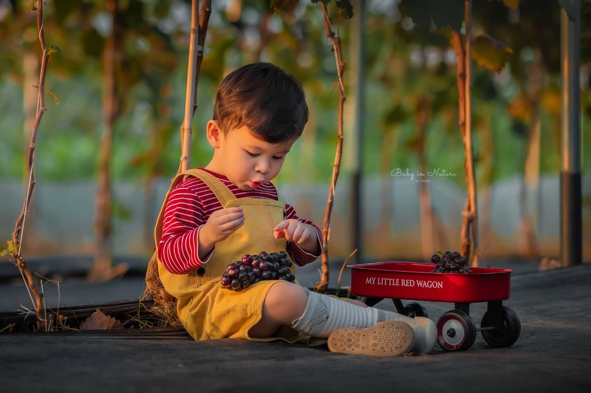 CHO TRẺ RA VƯỜN NHO 🍇

Post mãi ảnh con nhà người ta rồi, hôm nay em cho bạn Cam lên sóng trở lại ạ :)))

Nghe nói mới có vườn nho trĩu quả nên bố mẹ cháu xách ngay cháu lên đường.

Vườn nho cách nhà em (Hà Đông) 23km, phía bên kia cầu Nhật Tân, đường to dễ đi, vèo cái là đến. Các bác google "ChimiFarm 4" là ra luôn ạ.

Bên này có vườn nho khá rộng, nho cũng thấp thôi nên các bé có thể tự hái được. Ngoài ra còn có chuồng nuôi thỏ, chim cho các bé trải nghiệm cho thỏ ăn. Em nghe thấy cả tiếng dê nhưng mà chưa nhìn thấy đâu.
Khi đi bố mẹ nhớ chuẩn bị thêm củ, rau để các con cho thỏ ăn nha ^^

Nhà em cho con ăn trưa xong là bê nhau lên đường, con ngủ trưa trên xe, đến nơi dậy chơi vui vẻ là vừa ❤

Giá vé tham quan: 30k/người lớn, gửi xe miễn phí, hái nho đem về 200k/kg.

Đồ uống: nước ép nho, dâu tây... 50~80k

Chúc cả nhà thu hoạch được đầy xe 😆