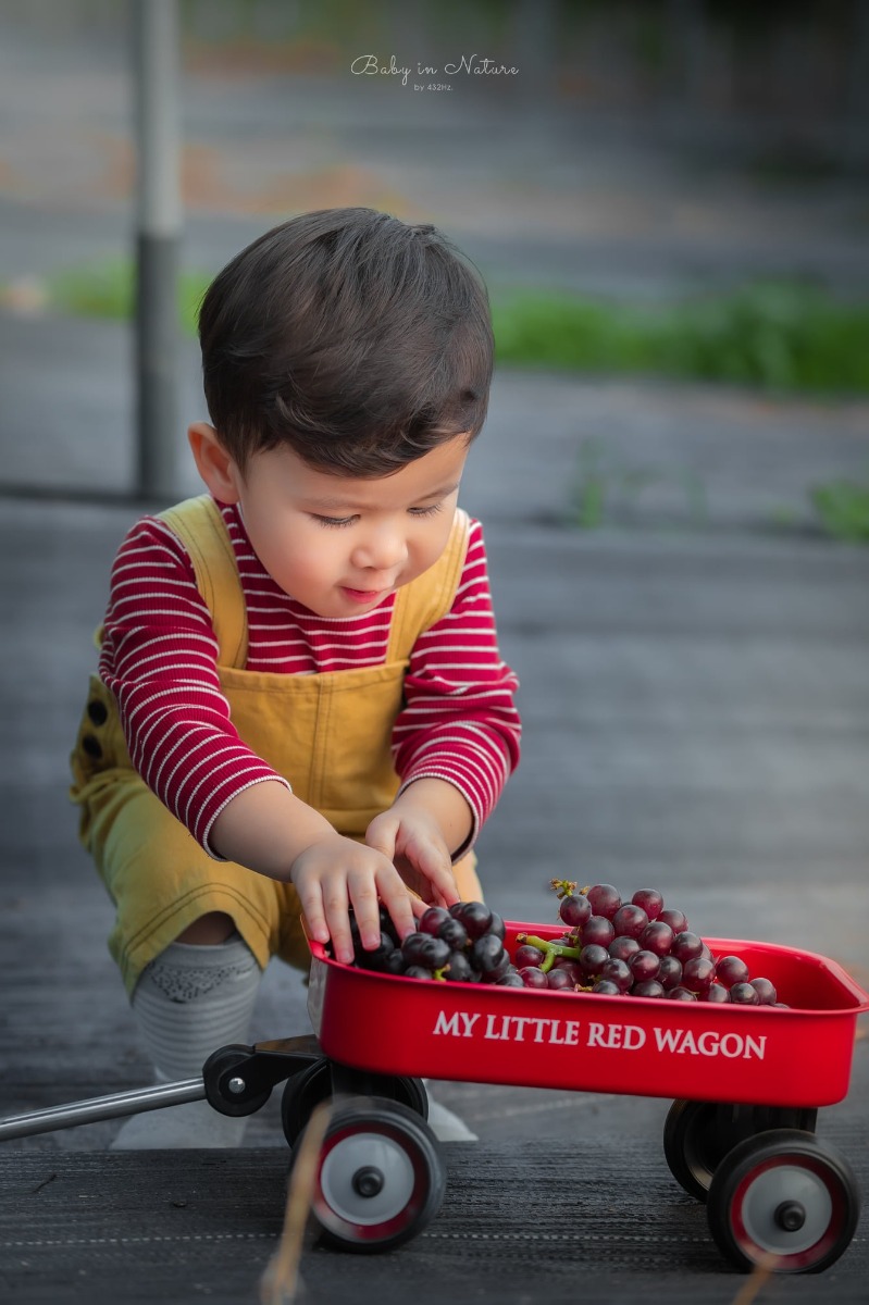 CHO TRẺ RA VƯỜN NHO 🍇

Post mãi ảnh con nhà người ta rồi, hôm nay em cho bạn Cam lên sóng trở lại ạ :)))

Nghe nói mới có vườn nho trĩu quả nên bố mẹ cháu xách ngay cháu lên đường.

Vườn nho cách nhà em (Hà Đông) 23km, phía bên kia cầu Nhật Tân, đường to dễ đi, vèo cái là đến. Các bác google "ChimiFarm 4" là ra luôn ạ.

Bên này có vườn nho khá rộng, nho cũng thấp thôi nên các bé có thể tự hái được. Ngoài ra còn có chuồng nuôi thỏ, chim cho các bé trải nghiệm cho thỏ ăn. Em nghe thấy cả tiếng dê nhưng mà chưa nhìn thấy đâu.
Khi đi bố mẹ nhớ chuẩn bị thêm củ, rau để các con cho thỏ ăn nha ^^

Nhà em cho con ăn trưa xong là bê nhau lên đường, con ngủ trưa trên xe, đến nơi dậy chơi vui vẻ là vừa ❤

Giá vé tham quan: 30k/người lớn, gửi xe miễn phí, hái nho đem về 200k/kg.

Đồ uống: nước ép nho, dâu tây... 50~80k

Chúc cả nhà thu hoạch được đầy xe 😆