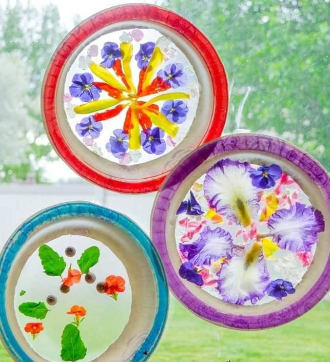 Phát hiện ra cỏ cây hoa lá xung quanh mình thật đẹp .
Nguyên liệu sử dụng là nhưng chiếc đĩa giấy . Sau đó cắt đáy và dán đề can hoặc băng dính vào đáy của chiếc đĩa. Cuối cùng chúng mình sẽ sáng tạo ra những bức tranh theo ý thích 🥰
Cùng Hahi nhà mình sáng tạo nhé 😚