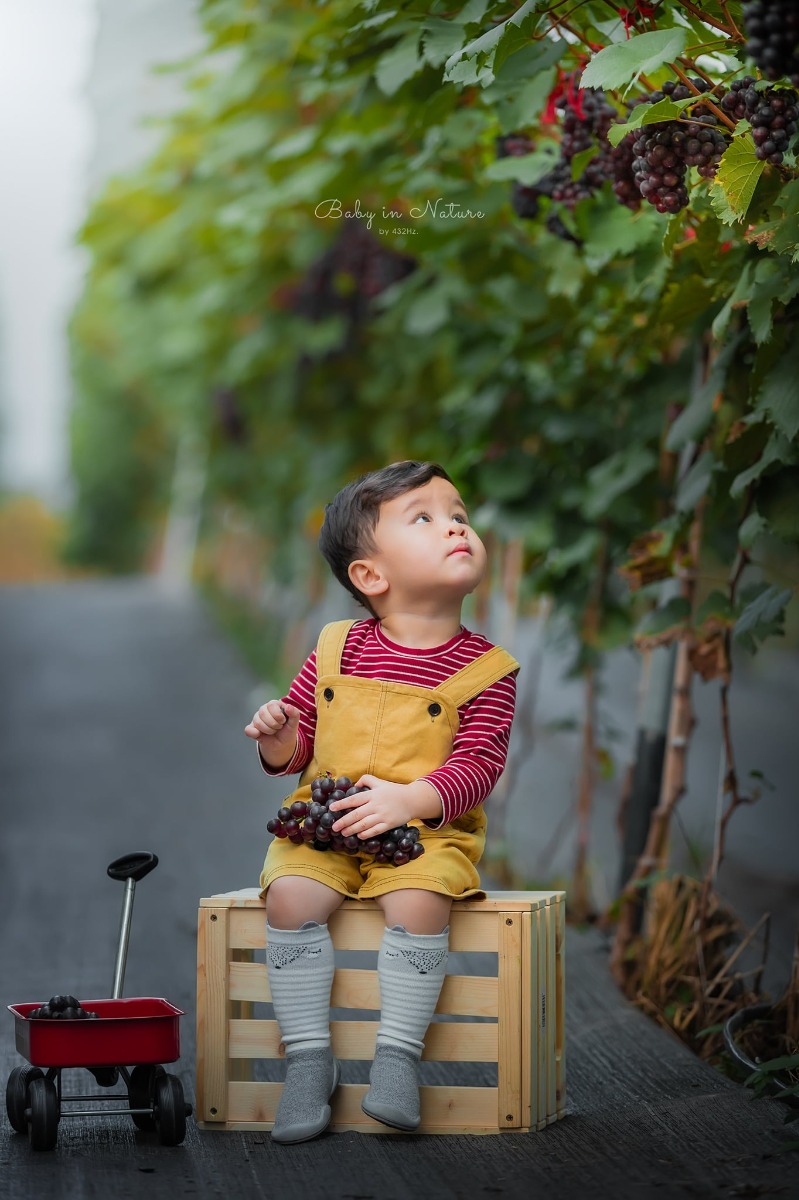 CHO TRẺ RA VƯỜN NHO 🍇

Post mãi ảnh con nhà người ta rồi, hôm nay em cho bạn Cam lên sóng trở lại ạ :)))

Nghe nói mới có vườn nho trĩu quả nên bố mẹ cháu xách ngay cháu lên đường.

Vườn nho cách nhà em (Hà Đông) 23km, phía bên kia cầu Nhật Tân, đường to dễ đi, vèo cái là đến. Các bác google "ChimiFarm 4" là ra luôn ạ.

Bên này có vườn nho khá rộng, nho cũng thấp thôi nên các bé có thể tự hái được. Ngoài ra còn có chuồng nuôi thỏ, chim cho các bé trải nghiệm cho thỏ ăn. Em nghe thấy cả tiếng dê nhưng mà chưa nhìn thấy đâu.
Khi đi bố mẹ nhớ chuẩn bị thêm củ, rau để các con cho thỏ ăn nha ^^

Nhà em cho con ăn trưa xong là bê nhau lên đường, con ngủ trưa trên xe, đến nơi dậy chơi vui vẻ là vừa ❤

Giá vé tham quan: 30k/người lớn, gửi xe miễn phí, hái nho đem về 200k/kg.

Đồ uống: nước ép nho, dâu tây... 50~80k

Chúc cả nhà thu hoạch được đầy xe 😆