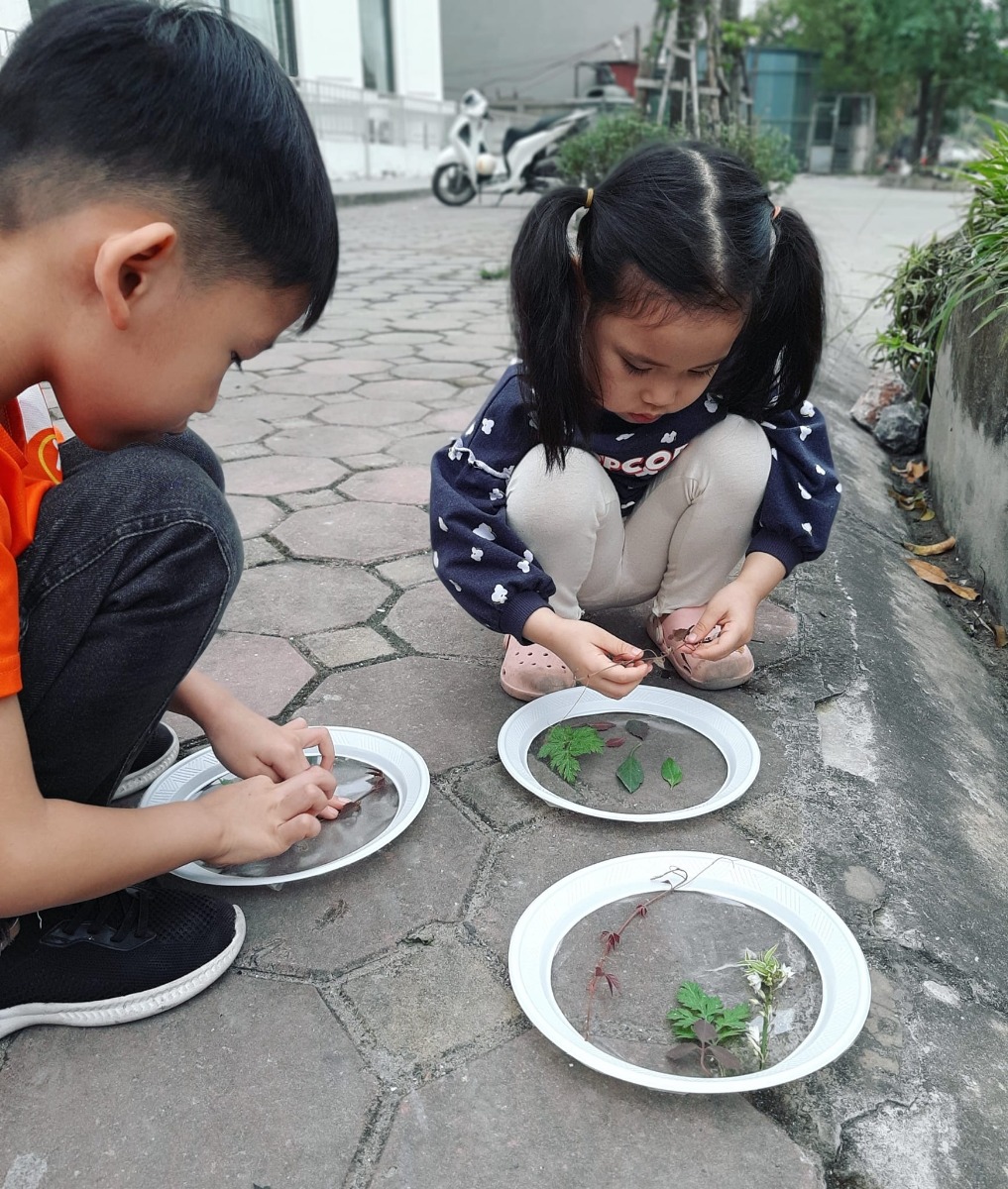 Phát hiện ra cỏ cây hoa lá xung quanh mình thật đẹp .
Nguyên liệu sử dụng là nhưng chiếc đĩa giấy . Sau đó cắt đáy và dán đề can hoặc băng dính vào đáy của chiếc đĩa. Cuối cùng chúng mình sẽ sáng tạo ra những bức tranh theo ý thích 🥰
Cùng Hahi nhà mình sáng tạo nhé 😚