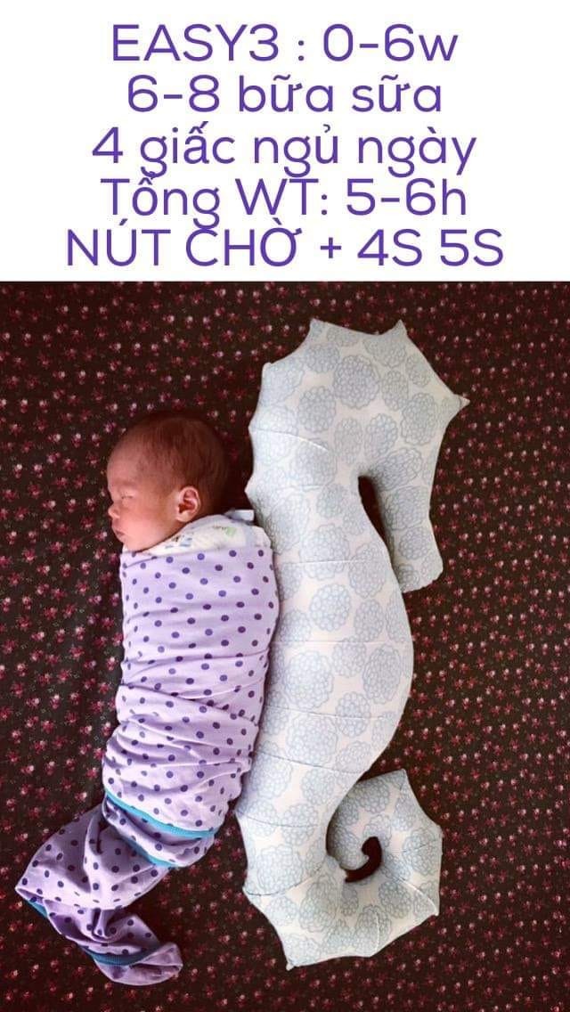 THUẬT NGỮ VIẾT TẮT

Mình xin liệt kê các từ viết tắt giúp các mẹ dễ hiểu hơn nhé. Nếu có sót, những gì các bạn chưa hiểu có thể bổ sung ở comment và mình sẽ kiểm tra và bổ sung.

✏️ WT là Waketime: thời gian thức của con, tính từ khi con tỉnh dậy, ăn - ợ - tay bỉm - chơi và thủ tục đi ngủ, đến lúc đặt con hoặc đến lúc con ngủ hẳn, tùy theo bạn ở giai đoạn nào của dạy tự ngủ.

✏️ WD là winddown, là bước thứ 4 rất quan trọng trong trình tự đi ngủ, mẹ cần xem video hướng dẫn về easy mới hiểu được tầm quan trọng của nó và cách làm.

✏️ Catnap là giấc ngủ quá ngắn, dưới 30 phút, chợp mắt ngủ như mèo. Con tình lại và sau nút chờ 10 phút con không ngủ lại được mới được coi là catnap. Catnap là giấc ngủ ngày, không phải giấc đêm, đêm dậy liên tục 30'/lần thì là hiện tượng của lẫn lộn ngày đêm, không phải hiện tượng catnap.

✏️ Nap: là giấc ngủ ngày. Tùy theo mỗi lịch mà số giấc ngủ ngày tối đã trong ngày sẽ là bao lâu

✏️ 5w3d = 5 tuần 3 ngày

✏️ 2m3d = 2 tháng 3 ngày (tốt nhất các mẹ không dùng cách này, dùng tuần tuổi chính xác hơn)

✏️ 4S: trình tự đi ngủ của Tracy Hogg gồm quấn chặt - tạo môi trường ngủ- ngồi yên - shh/vỗ (xem video hướng dẫn easy)

✏️ 5S là 5 công cụ giúp giảm quấy khóc giúp con tự ngủ từ so siwnh đến 4 tháng gồm quấn chặt - ồn trắng - đung đưa - nằm nghiêng/sấp - ti giả

✏️ WN là whitenoise, tiếng ồn trắng

✏️ witch hour/WH: giờ ma làm :)), là giờ quấy khóc dữ dội từ 5-9h tối.

✏️acid reflux/colic: khóc đau đớn vì ăn, các mẹ xem bài chi tiết để phân biệt 2 khái niệm này

✏️Swaddle/ Chun Cocoon/cocoon là sp quấn em bé của Chũn Cocooon

✏️ TWT là total awake time = tổng thời gian thức của ngày. Một ngày 24 h thì con thức bao nhiêu tiếng, gồm thức cả ban ngày và thức ban đêm

✏️ TST: Total asleep Time = tổng thơi gian ngủ trong một ngày 24h

✏️WW: wonderweek: tuần phát triển tinh thần

✏️ GS là growth spurt: dậy thì sơ sinh

✏️ EASY: là trình tự sinh hoạt ăn chơi ngủ

✏️ ARA: Awareness ( nhận thức mơ hồ) - Rejection (Từ chối) - Acceptance ( Chấp nhận)

✏️ Dream Feed: ăn trong mơ

✏️ NCKPLCC: sách nuôi con không phải là cuộc chiến

✏️CF - Cluster Feed là Ăn Bổ Sung

✏️NREM: Non-REM: Bé ngủ sâu, toàn bộ cơ thế thư giản, nhịp thở vâ tim đập đều đặn.

✏️REM: Rapid Eye Movement Sleep: Giai đoạn ngủ mắt đảo nhanh, bé ngủ nông, không sâu giấc.

Còn gì không hiểu, các mẹ comment mình bổ sung tiếp nhé.