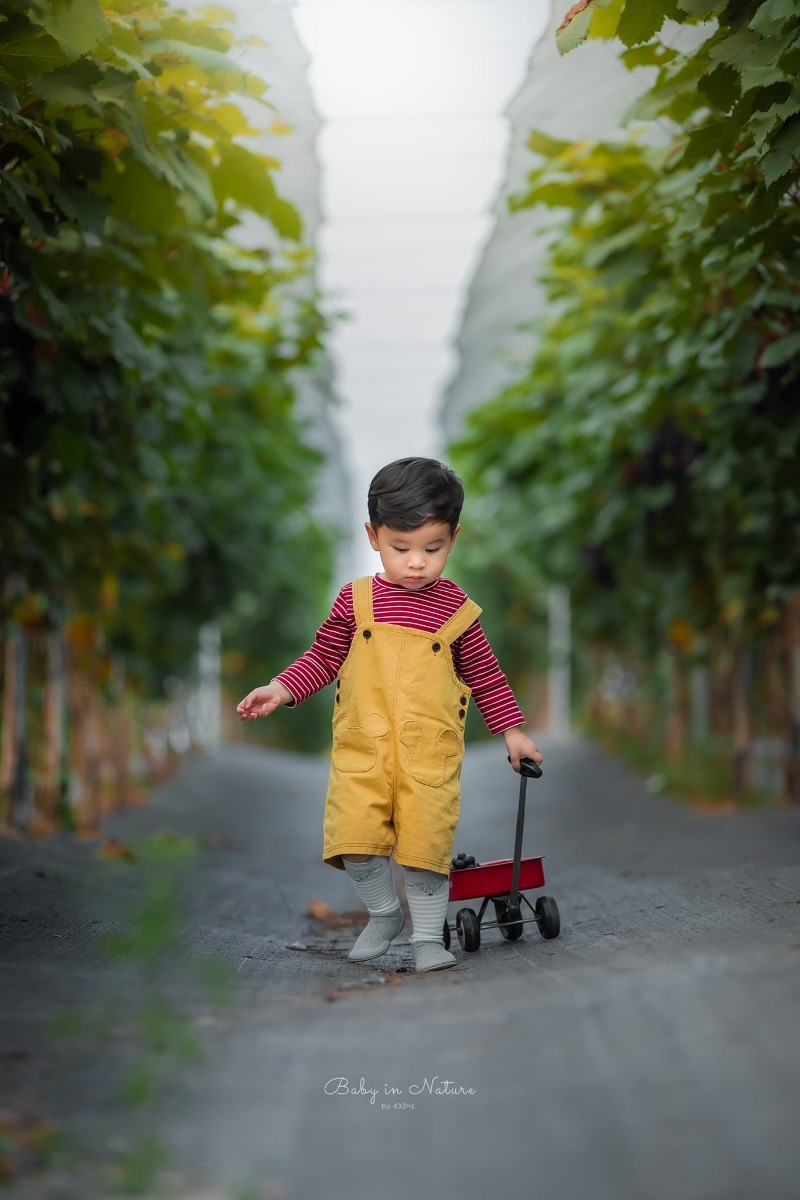 CHO TRẺ RA VƯỜN NHO 🍇

Post mãi ảnh con nhà người ta rồi, hôm nay em cho bạn Cam lên sóng trở lại ạ :)))

Nghe nói mới có vườn nho trĩu quả nên bố mẹ cháu xách ngay cháu lên đường.

Vườn nho cách nhà em (Hà Đông) 23km, phía bên kia cầu Nhật Tân, đường to dễ đi, vèo cái là đến. Các bác google "ChimiFarm 4" là ra luôn ạ.

Bên này có vườn nho khá rộng, nho cũng thấp thôi nên các bé có thể tự hái được. Ngoài ra còn có chuồng nuôi thỏ, chim cho các bé trải nghiệm cho thỏ ăn. Em nghe thấy cả tiếng dê nhưng mà chưa nhìn thấy đâu.
Khi đi bố mẹ nhớ chuẩn bị thêm củ, rau để các con cho thỏ ăn nha ^^

Nhà em cho con ăn trưa xong là bê nhau lên đường, con ngủ trưa trên xe, đến nơi dậy chơi vui vẻ là vừa ❤

Giá vé tham quan: 30k/người lớn, gửi xe miễn phí, hái nho đem về 200k/kg.

Đồ uống: nước ép nho, dâu tây... 50~80k

Chúc cả nhà thu hoạch được đầy xe 😆
