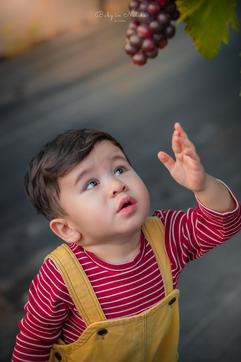 CHO TRẺ RA VƯỜN NHO 🍇

Post mãi ảnh con nhà người ta rồi, hôm nay em cho bạn Cam lên sóng trở lại ạ :)))

Nghe nói mới có vườn nho trĩu quả nên bố mẹ cháu xách ngay cháu lên đường.

Vườn nho cách nhà em (Hà Đông) 23km, phía bên kia cầu Nhật Tân, đường to dễ đi, vèo cái là đến. Các bác google "ChimiFarm 4" là ra luôn ạ.

Bên này có vườn nho khá rộng, nho cũng thấp thôi nên các bé có thể tự hái được. Ngoài ra còn có chuồng nuôi thỏ, chim cho các bé trải nghiệm cho thỏ ăn. Em nghe thấy cả tiếng dê nhưng mà chưa nhìn thấy đâu.
Khi đi bố mẹ nhớ chuẩn bị thêm củ, rau để các con cho thỏ ăn nha ^^

Nhà em cho con ăn trưa xong là bê nhau lên đường, con ngủ trưa trên xe, đến nơi dậy chơi vui vẻ là vừa ❤

Giá vé tham quan: 30k/người lớn, gửi xe miễn phí, hái nho đem về 200k/kg.

Đồ uống: nước ép nho, dâu tây... 50~80k

Chúc cả nhà thu hoạch được đầy xe 😆