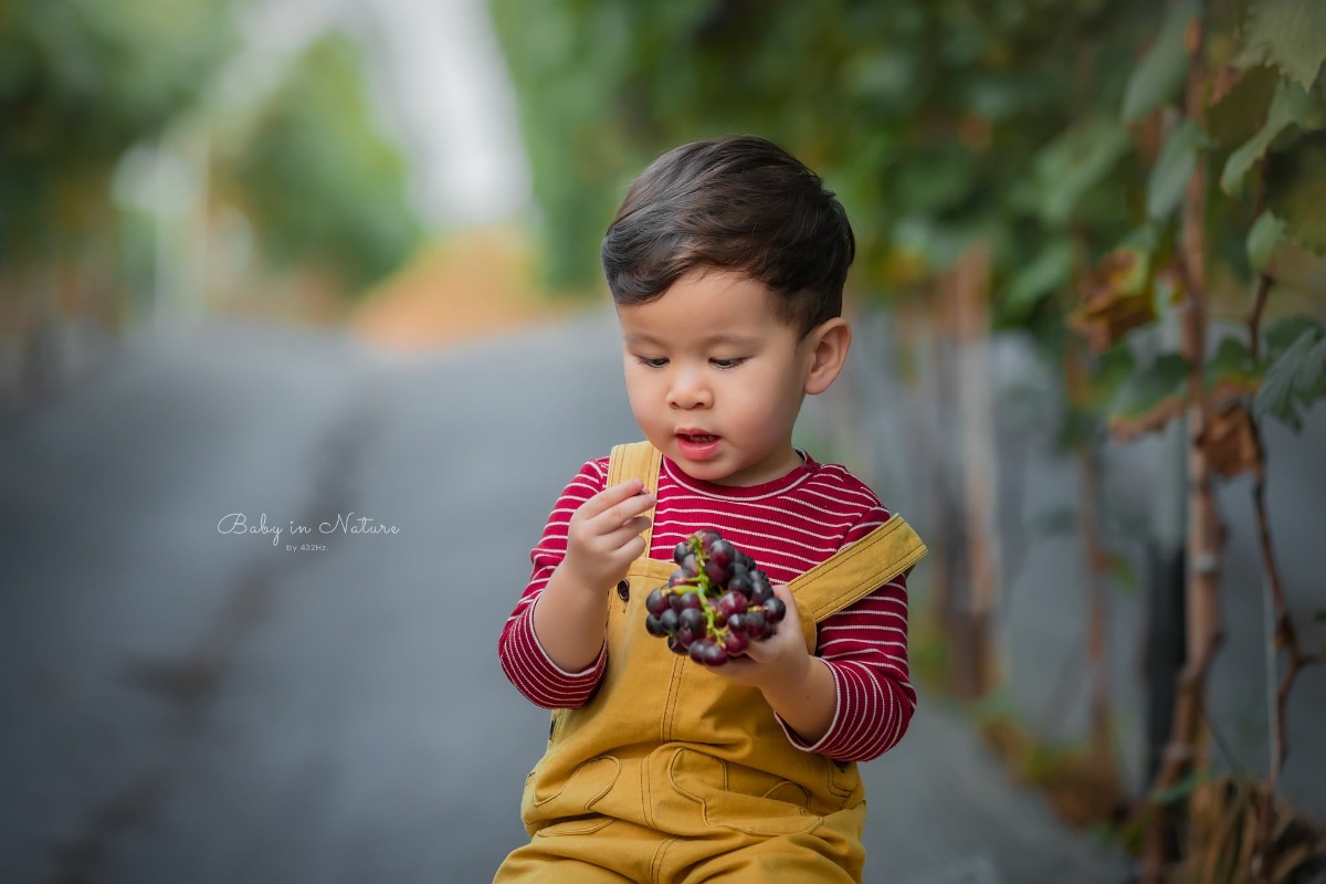 CHO TRẺ RA VƯỜN NHO 🍇

Post mãi ảnh con nhà người ta rồi, hôm nay em cho bạn Cam lên sóng trở lại ạ :)))

Nghe nói mới có vườn nho trĩu quả nên bố mẹ cháu xách ngay cháu lên đường.

Vườn nho cách nhà em (Hà Đông) 23km, phía bên kia cầu Nhật Tân, đường to dễ đi, vèo cái là đến. Các bác google "ChimiFarm 4" là ra luôn ạ.

Bên này có vườn nho khá rộng, nho cũng thấp thôi nên các bé có thể tự hái được. Ngoài ra còn có chuồng nuôi thỏ, chim cho các bé trải nghiệm cho thỏ ăn. Em nghe thấy cả tiếng dê nhưng mà chưa nhìn thấy đâu.
Khi đi bố mẹ nhớ chuẩn bị thêm củ, rau để các con cho thỏ ăn nha ^^

Nhà em cho con ăn trưa xong là bê nhau lên đường, con ngủ trưa trên xe, đến nơi dậy chơi vui vẻ là vừa ❤

Giá vé tham quan: 30k/người lớn, gửi xe miễn phí, hái nho đem về 200k/kg.

Đồ uống: nước ép nho, dâu tây... 50~80k

Chúc cả nhà thu hoạch được đầy xe 😆