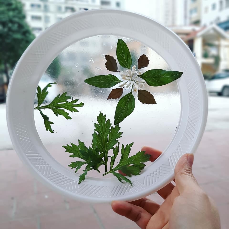 Phát hiện ra cỏ cây hoa lá xung quanh mình thật đẹp .
Nguyên liệu sử dụng là nhưng chiếc đĩa giấy . Sau đó cắt đáy và dán đề can hoặc băng dính vào đáy của chiếc đĩa. Cuối cùng chúng mình sẽ sáng tạo ra những bức tranh theo ý thích 🥰
Cùng Hahi nhà mình sáng tạo nhé 😚