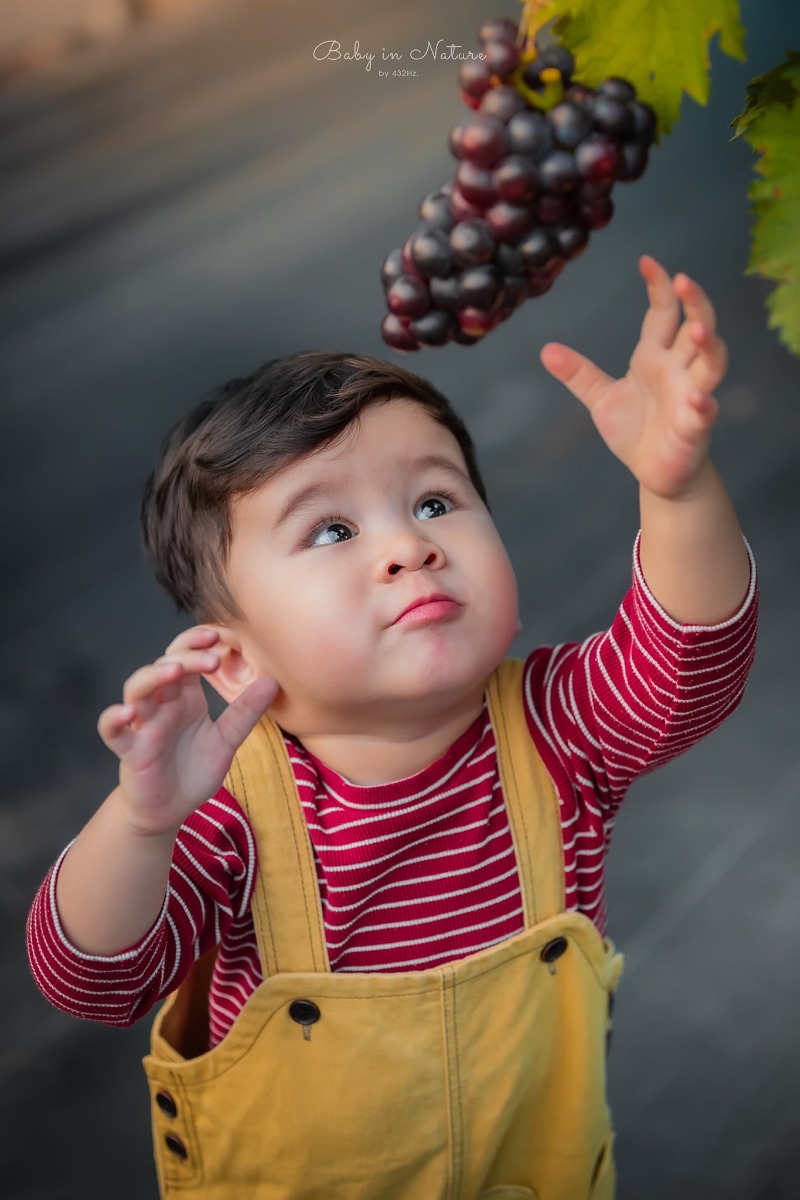 CHO TRẺ RA VƯỜN NHO 🍇

Post mãi ảnh con nhà người ta rồi, hôm nay em cho bạn Cam lên sóng trở lại ạ :)))

Nghe nói mới có vườn nho trĩu quả nên bố mẹ cháu xách ngay cháu lên đường.

Vườn nho cách nhà em (Hà Đông) 23km, phía bên kia cầu Nhật Tân, đường to dễ đi, vèo cái là đến. Các bác google "ChimiFarm 4" là ra luôn ạ.

Bên này có vườn nho khá rộng, nho cũng thấp thôi nên các bé có thể tự hái được. Ngoài ra còn có chuồng nuôi thỏ, chim cho các bé trải nghiệm cho thỏ ăn. Em nghe thấy cả tiếng dê nhưng mà chưa nhìn thấy đâu.
Khi đi bố mẹ nhớ chuẩn bị thêm củ, rau để các con cho thỏ ăn nha ^^

Nhà em cho con ăn trưa xong là bê nhau lên đường, con ngủ trưa trên xe, đến nơi dậy chơi vui vẻ là vừa ❤

Giá vé tham quan: 30k/người lớn, gửi xe miễn phí, hái nho đem về 200k/kg.

Đồ uống: nước ép nho, dâu tây... 50~80k

Chúc cả nhà thu hoạch được đầy xe 😆