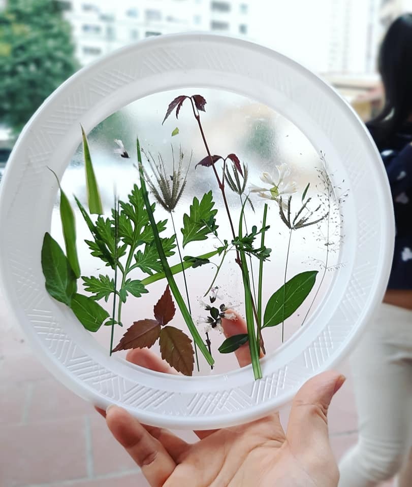 Phát hiện ra cỏ cây hoa lá xung quanh mình thật đẹp .
Nguyên liệu sử dụng là nhưng chiếc đĩa giấy . Sau đó cắt đáy và dán đề can hoặc băng dính vào đáy của chiếc đĩa. Cuối cùng chúng mình sẽ sáng tạo ra những bức tranh theo ý thích 🥰
Cùng Hahi nhà mình sáng tạo nhé 😚