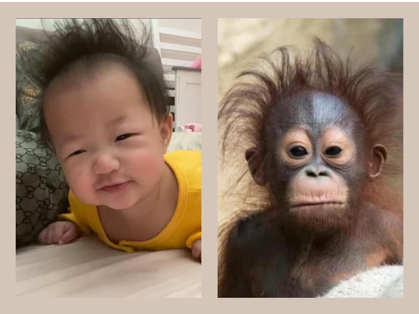 Như 2 giọt nước ý ạ 😅