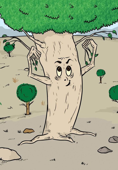 Truyện thai giáo tiếng Anh (Thai giáo ngoại ngữ): King of Trees