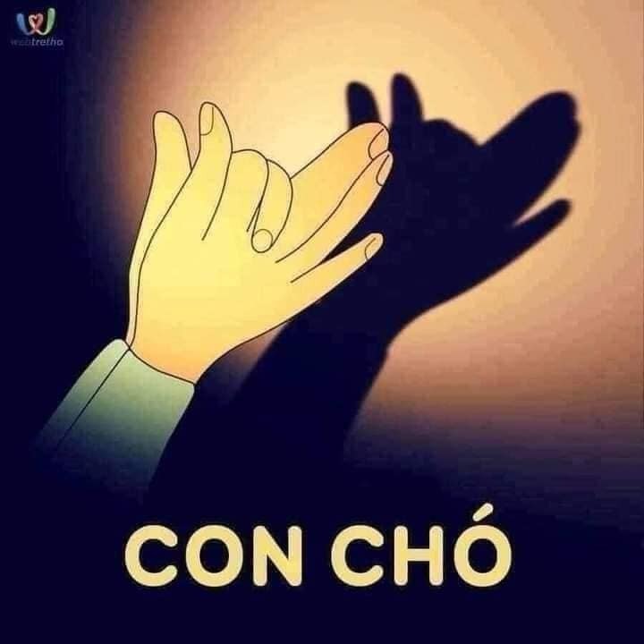 🌈🌈GÓC CHƠI CÙNG CON BUỔI TỐI.

👉👉Cách tạo bóng hình các con vật bằng đôi bàn tay khéo léo giúp ba mẹ và con có thêm thời gian gắn kết bên nhau. Đồng thời kích thích sự sáng tạo cho bé yêu ❣️