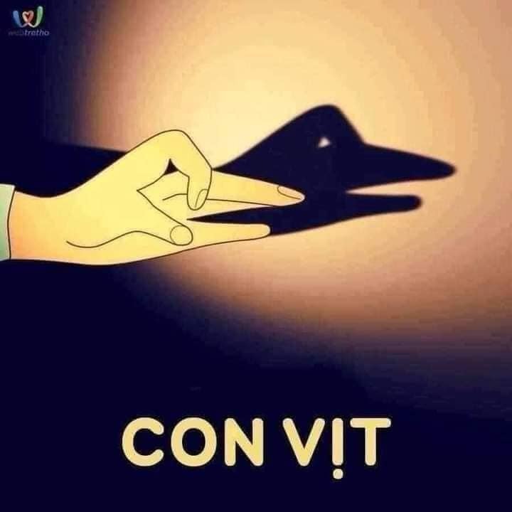 🌈🌈GÓC CHƠI CÙNG CON BUỔI TỐI.

👉👉Cách tạo bóng hình các con vật bằng đôi bàn tay khéo léo giúp ba mẹ và con có thêm thời gian gắn kết bên nhau. Đồng thời kích thích sự sáng tạo cho bé yêu ❣️