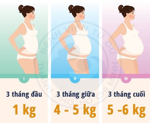 Tăng cân khi mang thai bao nhiêu là hợp lý?