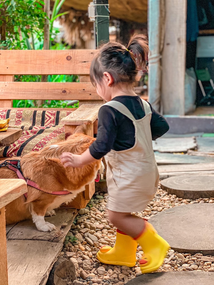 Review về chuyến đi loanh quanh Hà Nội của nhà em ạ.

📍địa điểm : Quán cà phê TreeAmi . Số 19 Nguyễn Văn Huyên kéo dài.
Để mà nói giữa lòng Hà Nội mà lại tìm được 1 con suối cho các bạn lội thì k còn gì bằng đâu ạ.

Tiêu chí của e là cuối tuần lê la tìm được quán cho con vừa có không gian chơi, Bme lại vừa được ngồi nhâm nhi trò chuyện. 😆😆

Quán nè đáp ứng đủ yêu cầu luôn. K phải di chuyển xa,đồ uống k quá đắt. Giá giao động từ 40k trở lên.

Con tha hồ vầy nước,ngắm hoa lá cành. Chạy nhảy nghịch đá sỏi mê mệt gọi k muốn về 😂😂