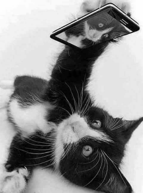 NHỮNG TIN NHẮN “ĐEN” 🖤💔

Con để ý một bạn trai trong lớp vừa học giỏi vừa nhiều tài lẻ. Chắc bạn ấy cũng nhận ra tình cảm của con nên đã nhắn tin. Lúc đầu chỉ hỏi bài, kế đến hỏi bâng quơ, rồi hỏi… tùm lum. Bạn bảo mến con từ lâu nhưng ngại, con bảo “tui hông ngại thì thôi chứ bạn ngại gì”.

Vậy là hàng đêm tụi con dành nửa giờ nhắn tin. Độ “bạo” cũng từ từ tăng lên. Cuối tuần rồi bạn rủ con s.exting, con nghe nói cái này là “tin nhắn đen” nhưng sợ từ chối thì bạn mất vui nên bảo khuya rồi đi ngủ.
(Nguyễn H. Tr – học sinh lớp 12)
---------------

S.exting, ghép của s.ex (tình dục) và texting (nhắn tin), là hoạt động trò chuyện, tâm sự qua tin nhắn, dùng các từ ngữ dễ liên tưởng tới “chuyện ấy”. Người tham gia có thể sao chép, chụp ảnh màn hình rồi chia sẻ với người khác. Hiện trào lưu này đang hút một lượng đông đảo các bạn trẻ ngồi trên ghế nhà trường. Nhiều em cho rằng, một hình ảnh nóng bỏng, một clip gợi cảm được gửi đi để…duy trì kết nối và để đối phương nhớ mình thì càng hay chứ sao!

Thời chưa có Internet, học sinh trao nhau những lá thư ngăn bàn để đối tượng đọc và tưởng tượng 😇. Phần thú vị nhất không nằm trên trang giấy mà ở trong đầu mình. Nay, việc học trực tuyến khiến học sinh, sinh viên sử dụng camera tích hợp trên điện thoại thông minh, iPad và các thiết bị điện tử khác một cách thành thạo. Trào lưu chụp ảnh “lộ hàng” hoặc “khoe thân” cũng từ đó gia tăng, có chiều hướng lây lan và khó “cai nghiện”.

Thế nhưng các bạn đâu biết những tin nhắn đen có thể thay đổi cuộc sống của mình theo chiều hướng xấu. Chẳng hạn:

🔹 Khi một bức ảnh gợi cảm được gửi cho người khác, không có gì đảm bảo rằng nó sẽ được giữ bí mật. Một khi mối quan hệ tan vỡ, đối tượng có thể đăng ảnh nóng để trả thù tình; đứa bạn giận nên tung ảnh; mất/ sửa ĐT, tài khoản bị lấy cắp,… Khi hình ảnh bị phát tán, người trong ảnh xấu hổ, cảm tưởng như mình bị lột trần trước toàn trường, bị bắt nạt, đe doạ trực tuyến. 😎

🔹 Bạn bè thường tránh xa nhân vật đó vì sợ mình sẽ là mục tiêu kế tiếp bị bắt nạt, bị mang tiếng. Trải nghiệm kết thúc tình bạn có thể khiến teen trong ảnh cảm thấy bị phản bội và cô đơn.

🔹 Cảm thấy tội lỗi và nhục nhã khi chạm mặt với người quen người lạ, phải nghe những bình luận tỏ ý bỡn cợt, nhạo báng, bị gọi bằng những cái tên thô tục, bị xúc phạm danh dự thậm chí tẩy chay.

🔹 Những nữ sinh chụp ảnh “mát” gửi cho bạn trai khi bị phát tán hình ảnh có nguy cơ bị quấy rối tình dục. Có lẽ, khi gửi đi những bức ảnh s.exy hoặc những clip phòng kín cho người yêu, bạn gái chẳng mảy may nghi ngờ sẽ có ngày hành động đầy niềm tin và tình yêu ấy trở thành hiểm họa đe dọa chính mình.

🔹 Khi sự việc leo thang, nạn nhân cảm thấy vô vọng và trở nên chán nản, có dấu hiệu trầm cảm hoặc nghĩ quẩn “chết là hết”.

Cháu đừng tưởng rằng s.exting với bạn trai/ người yêu là một hành động vô hại. Không đâu! Ngay khi gửi đi, tất cả đã vượt khỏi tầm kiểm soát của cháu. Chúng có thể được tải xuống, sao chép, chuyển tiếp cho người khác và đăng lại dù mối quan hệ có nghiêm túc và thân mật đến đâu.

Bác sĩ Hoa Tiêu từng nghe mẩu đối thoại này ở nơi công cộng:
- Tui mới quen một em, body ngon cực. Đây! - vừa khoe thanh niên vừa rút điện thoại ra.
Cả nhóm bạn xúm lại, chăm chú soi vào màn hình và những tiếng chắc lưỡi vang lên kèm theo lời đề nghị:
- Được đấy, gửi tao với!
Những thanh thiếu niên lưu trữ và chia sẻ những hình ảnh ấy đã “phạm tội tàng trữ và truyền bá hình ảnh khiêu dâm trẻ em/vị thành niên”, nếu bị phát hiện có thể bị kiện, phạt tiền, phạt tù.

Cách duy nhất ngăn chặn “tin nhắn đen” là cháu từ chối thẳng với bạn ấy. Đừng tự đẩy mình vào tình thế nguy hiểm cháu nhé. Đã “nắm dao dằng lưỡi” thì khi hai bên giằng co hoặc bên kia có rút dao về, e rằng cháu cũng bị đứt tay.

Bác sĩ Hoa Tiêu Nguyễn Lan Hải
Bài đăng trên báo Phụ nữ Chủ nhật số 16, ra ngày 24/2/2022.