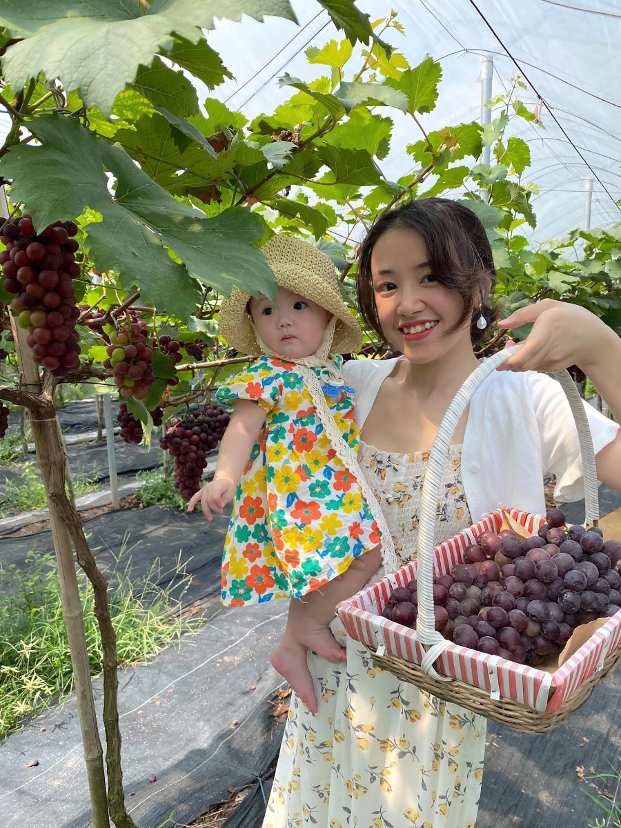 [ĐI HÁI NHO THÔI CÁC BẠN ƠIII]

Địa điểm: Trang trại Chimi Farm 4, Đông Anh, Hà Nội (search gg map là ra nha các bác)

Lỡ hẹn với mùa nho năm ngoái, nay có tin nho mới vào vụ là 2 mẹ con em xách balo lên đường luôn😆 nho trĩu trịt nhìn là mê các bác ạ, trồng cũng thấp thôi nên các bé tha hồ hái nha (các bác nhớ càng đi sâu vào phía trong thì càng nhiều nho nhé). 

Ngoài ra, còn có các dịch vụ khác như: khu cafe xanh mướt cây cối để ngồi nghỉ (giá nước uống từ 40-65k), khu cho động vật ăn (thỏ, hamster, dê, vịt…), tô tượng. 

Chi phí: vườn nho có 2 khu với mức phí 50k (dành cho bạn nào chỉ hái, chụp ảnh chứ không ăn, hái bao nhiêu ra ngoài cân tính tiền - 200k/kg, và thăm khu động vật + 1 suất ăn cho đv) và 250k (như gói 50k nhưng được ăn nho thoải mái trong vườn). 

Mức phí nào cũng được tặng 1 hộp nho nhỏ để mình ăn thử ngay ở quầy bán vé nha😄 cá nhân mình thấy nho khá ngọt và thơm (mua về để tủ lạnh ăn chắc sẽ ngon hơn nữa đó).