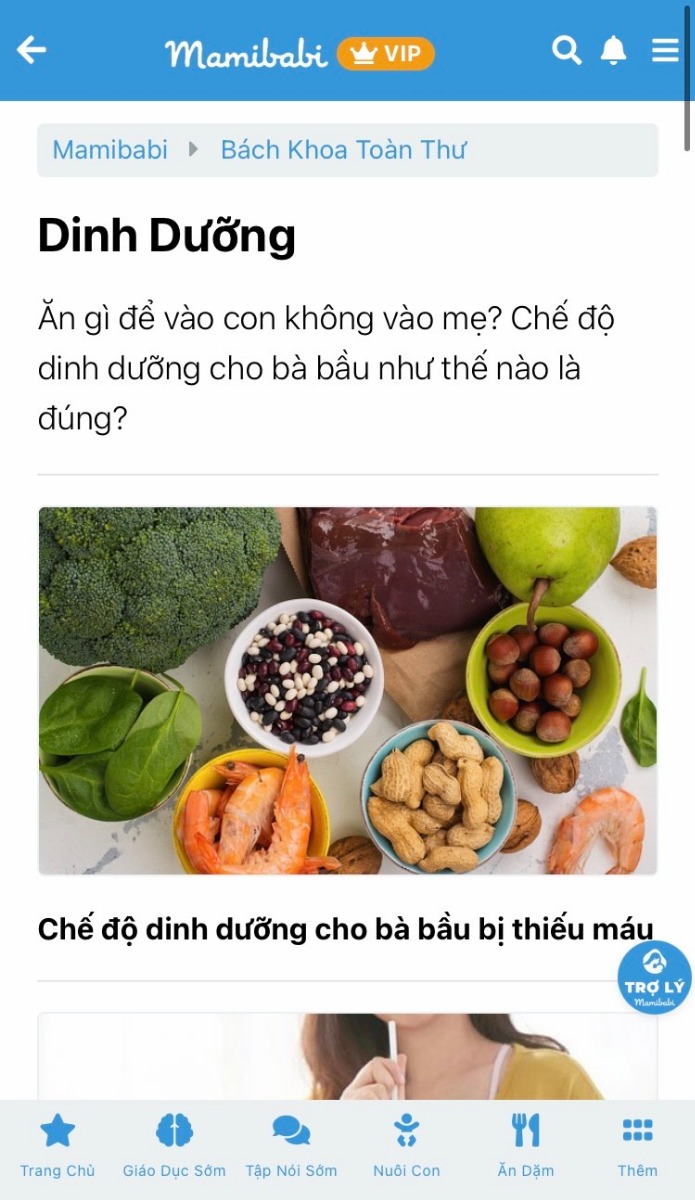 1001 KIẾN THỨC DINH DƯỠNG CHO MẸ VÀ BÉ KHỎE MẠNH

Dinh dưỡng luôn là nội dung được các mẹ quan tâm nhất trong thời gian mang bầu. Tại Mamibabi, các mẹ có thể tìm hiểu về dinh dưỡng qua nhiều mục: 

- Thai giáo dinh dưỡng 40 tuần: Những điều cần lưu ý trong từng tuần mang thai >>> https://mamibabi.com.vn/thai-giao-dinh-duong 

- Bách khoa toàn thư – Dinh dưỡng: Các bài viết về mọi vấn đề liên quan tới dinh dưỡng, những thực phẩm mẹ bầu nên và không nên ăn >>> https://mamibabi.com.vn/newscategory/24/dinh-duong 

- Bách khoa toàn thư – Món ngon cho bà bầu: Công thức các món ngon dễ làm và giàu dinh dưỡng cho mẹ bầu và gia đình >>> https://mamibabi.com.vn/newscategory/24/dinh-duong 

- Thực đơn gợi ý theo ngày: Các món ăn cụ thể cho 5 bữa mỗi ngày (gồm 3 bữa chính và 2 bữa phụ) trong suốt 280 ngày mang thai >>> https://mamibabi.com.vn/thaigiao/theongay 

Để xem được toàn bộ các nội dung trên, mẹ chỉ cần đăng ký tài khoản VIP Mom tại đây >>> https://mamibabi.com.vn/app 

Ngoài các nội dung về dinh dưỡng, Mamibabi còn cung cấp cho mẹ:
- Hơn 3000 hoạt động thai giáo giúp mẹ vui bé khỏe 
- Hơn 1000 bản nhạc thai giáo và karaoke thai giáo 
- Hơn 1000 bài thơ và câu truyện thai giáo tiếng Anh, tiếng Việt, Ehon, audio 
- Hơn 300 món ăn dặm cho bé từ 6 tháng đến 2 tuổi 
- Hơn 33 khóa học dành cho mẹ bầu và nuôi con 0 – 6 tuổi giúp mẹ nuôi con nhẹ nhàng và giúp bé phát triển toàn diện về vận động, ngôn ngữ, trí tuệ, cảm xúc…
