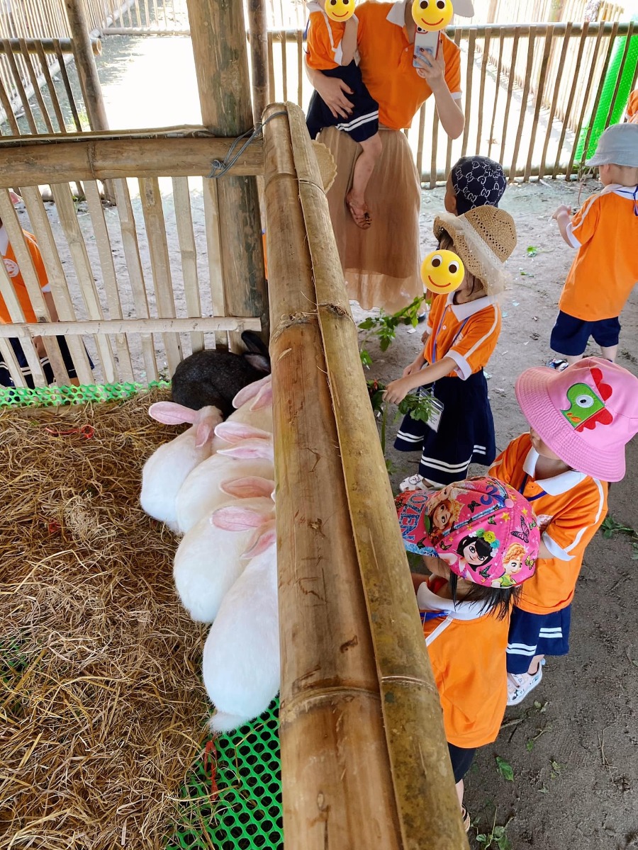 [ĐI HÁI NHO THÔI CÁC BẠN ƠIII]

Địa điểm: Trang trại Chimi Farm 4, Đông Anh, Hà Nội (search gg map là ra nha các bác)

Lỡ hẹn với mùa nho năm ngoái, nay có tin nho mới vào vụ là 2 mẹ con em xách balo lên đường luôn😆 nho trĩu trịt nhìn là mê các bác ạ, trồng cũng thấp thôi nên các bé tha hồ hái nha (các bác nhớ càng đi sâu vào phía trong thì càng nhiều nho nhé). 

Ngoài ra, còn có các dịch vụ khác như: khu cafe xanh mướt cây cối để ngồi nghỉ (giá nước uống từ 40-65k), khu cho động vật ăn (thỏ, hamster, dê, vịt…), tô tượng. 

Chi phí: vườn nho có 2 khu với mức phí 50k (dành cho bạn nào chỉ hái, chụp ảnh chứ không ăn, hái bao nhiêu ra ngoài cân tính tiền - 200k/kg, và thăm khu động vật + 1 suất ăn cho đv) và 250k (như gói 50k nhưng được ăn nho thoải mái trong vườn). 

Mức phí nào cũng được tặng 1 hộp nho nhỏ để mình ăn thử ngay ở quầy bán vé nha😄 cá nhân mình thấy nho khá ngọt và thơm (mua về để tủ lạnh ăn chắc sẽ ngon hơn nữa đó).