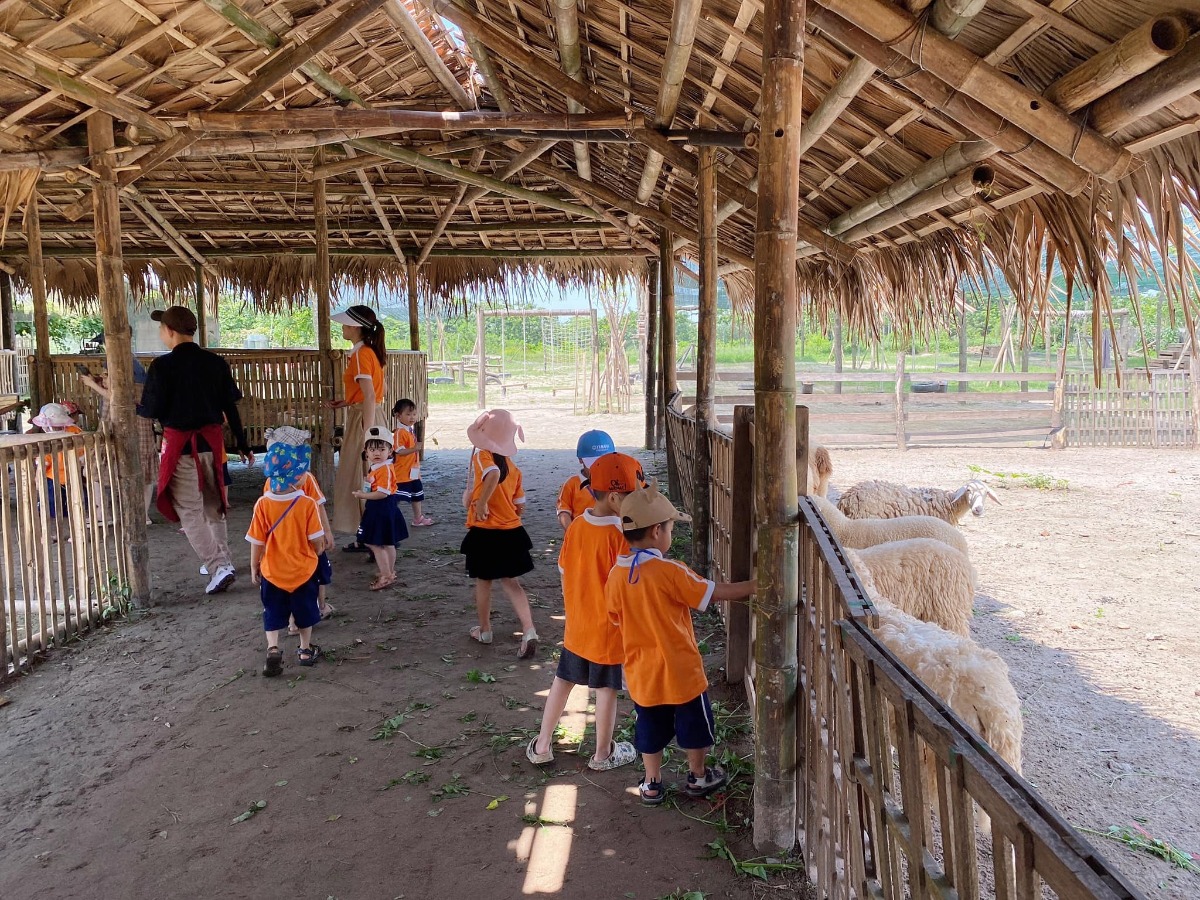 [ĐI HÁI NHO THÔI CÁC BẠN ƠIII]

Địa điểm: Trang trại Chimi Farm 4, Đông Anh, Hà Nội (search gg map là ra nha các bác)

Lỡ hẹn với mùa nho năm ngoái, nay có tin nho mới vào vụ là 2 mẹ con em xách balo lên đường luôn😆 nho trĩu trịt nhìn là mê các bác ạ, trồng cũng thấp thôi nên các bé tha hồ hái nha (các bác nhớ càng đi sâu vào phía trong thì càng nhiều nho nhé). 

Ngoài ra, còn có các dịch vụ khác như: khu cafe xanh mướt cây cối để ngồi nghỉ (giá nước uống từ 40-65k), khu cho động vật ăn (thỏ, hamster, dê, vịt…), tô tượng. 

Chi phí: vườn nho có 2 khu với mức phí 50k (dành cho bạn nào chỉ hái, chụp ảnh chứ không ăn, hái bao nhiêu ra ngoài cân tính tiền - 200k/kg, và thăm khu động vật + 1 suất ăn cho đv) và 250k (như gói 50k nhưng được ăn nho thoải mái trong vườn). 

Mức phí nào cũng được tặng 1 hộp nho nhỏ để mình ăn thử ngay ở quầy bán vé nha😄 cá nhân mình thấy nho khá ngọt và thơm (mua về để tủ lạnh ăn chắc sẽ ngon hơn nữa đó).