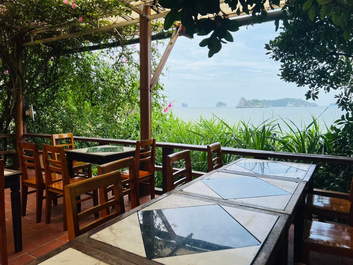 CÁT BÀ - lên rừng xuống biển trong 3 ngày 😎

Nhà mình đi Cát Bà lần đầu năm 2017, ở 2 đêm trong Cát Bà resort và tự lái xe đi loanh quanh. Ấn tượng của mình lúc ấy không khác gì các điểm du lịch biển khác ở miền Bắc cho lắm; thế nên cũng không có ý định quay lại.

Cho đến cách đây khoảng 1 tuần, lũ trẻ con nó than thở thèm biển. Mà đúng đợt cả 2 bố mẹ đều bận. Thứ 7 vẫn phải đi họp phụ huynh cho 2 đứa, đầu tuần sau thì bố mẹ đều có lịch không huỷ được. Thế là nghĩ đến Cát Bà.

Đặt phòng ở Cát Bà sát ngày, lại cuối tuần mùa cao điểm, cộng thêm yêu cầu dạng family 2 giường, chi phí vừa phải nhưng có chỗ chơi cho trẻ con -  dường như là “nhiệm vụ bất khả thi” 🤣 Đến cuối cùng, thực sự là lên kế hoạch chuyến đi theo cách không kỳ vọng nhiều, chỉ cần có chỗ cho lũ trẻ con tắm biển là được.

Ấy thế mà lại có chuyến đi ngoài mong đợi - lại phải rì viu 😎 (hơi ít ảnh vì toàn chụp ảnh bọn trẻ con, không chụp cảnh ạ 😅).

1. Đi lại và chi phí:

Nhà mình tự lái, chọn cung đường như sau vì rất sợ cảnh xếp hàng mòn mỏi ở bến phà 😬
Gần 10h sáng thứ 7 họp phụ huynh xong (trộm vía gia đình vẫn hạnh phúc sau buổi họp này), lên xe phi thẳng cao tốc về Tuần Châu. Ghé Hồng Hạnh ăn trưa rồi ra bến phà Tuần Châu đi chuyến 1h30 chiều.

Vé cao tốc: trừ VETC thẻ chồng, mình k phải trả nên coi như free 😌
Vé phà Tuần Châu - Cát Bà: 300k/xe ô tô, 60k/người.
Phà có 4 chuyến thôi: 9h, 11h30, 13h30, 15h (theo trí nhớ của mình, các bạn nên check lại nhé).

Tại sao lại chọn phà Tuần Châu dù xa hơn?
- Vì có thể tạt qua Tuần Châu ăn trưa 🤣 Với mình hải sản Quảng Ninh vưỡn là số 1.
- Vì đỡ phải xếp hàng (hãy google để biết phà từ Cát Hải đông cỡ nào vào mùa này, nãy mình về là vào sáng thứ 2 mà xe vẫn đang xếp hàng dài 😅).
- Vì được ngắm vịnh. Do quãng đường này sẽ là đi trên vịnh Hạ Long / Lan Hạ tầm 40-50p, tha hồ mà ngắm.
- Từ Tuần Châu sẽ cập Cảng Gia Luận, đi qua Rừng quốc gia Cát Bà để vào trung tâm. Con đường này đẹp và nhiều điểm tham quan.

Chiều về nhà mình đi Cảng Cái Viềng - bến phà Gót (Cát Hải). 1 là để khám phá thêm cung đường khác, 2 là chiều này đỡ đông rồi, phà chạy liên tục, nhà mình tới là có phà đi luôn.

Giá vé là 190k/xe và 10k/người.

2. Ở và ăn chơi:

Vụ này mình đặt theo đúng kiểu: hỏi mà bảo có phòng là đặt luôn, chứ còn chả thèm check review gì trước. Mùa cao điểm mà 😅 Thế nhưng kết quả lại không tồi.

HOI LAKE FARMSTAY:
Đêm đầu mình ở đây, là Farmstay nằm trong Vườn quốc gia Cát Bà. Nó là một dãy bungalow dựng quanh hồ Hới. Nếu đến sớm trước 5h chiều thì bạn đỗ xe ở cổng rồi đi bộ vào (từ cổng Rừng quốc gia vào khoảng 3-400m thôi).

Chỗ này không hợp với bạn nào quen ở chỗ “xịn xịn” vì điều kiện cơ sở vật chất cũ không được đầu tư cải tạo nhiều. 

Bù lại thì cảnh thiên nhiên cực đẹp. Hồ nước ngọt từ trong kẽ đá chảy ra mát lạnh. Cây cối đủ loại nên là thiên đường cho 2 thằng nhà mình. Chúng nó bơi rồi nghịch cả buổi, trời mưa xong bị vắt chui ra cắn vẫn cười phe phé đi khoe khắp nơi 😅

Ở đây có thể trekking quanh rừng quốc gia, cắm trại (có khu vực cho thuê trại và điểm dựng trại). Nếu không thuê bungalow thì tự cắm trại cũng là lựa chọn không tồi đâu ^^
Giá siêu rẻ: 750k/đêm với bungalow 1 giường đôi và 850k/đêm với bungalow family 2 giường, bao gồm ăn sáng (đồ ăn sáng thì tệ nha 😅). Trẻ em phụ thu 150k.

Đồ ăn uống cũng rẻ luôn, nước cam ép, cà phê cũng chỉ tầm 25-30k/ly. Nhân viên thì không chuyên nghiệp nhưng nhiệt tình. Các bạn Tây ba lô có vẻ thích mấy chỗ kiểu này nên mình thấy 3-4 nhóm liền, đông hơn cả khách Việt.

MONKEY ISLAND RESORT:

Nằm trên Đảo Khỉ ngoài vịnh Lan Hạ. Một nơi mà mình nghĩ nhà mình sẽ còn quay lại vì cả nhà đều thích.

Vì nằm ngoài đảo nên để ra đây thì phải đi tàu từ bến Bèo. Trước khi tới tầm 30p bạn liên hệ với resort để cho tàu vào đón. Sau khi được free ngắm vịnh Lan Hạ tầm 20p thì tới đảo. Ở đây cũng là các bungalow, có dạng phòng rẻ nhất là 1tr - và đắt nhất là bungalow riêng view biển 2 giường thì 2.3tr. Giá bao gồm ăn sáng, phụ thu trẻ em 200k.

Nằm sâu trong vịnh nên nước biển trong, buổi sáng có rác (chủ yếu là bèo) dạt vào - nhưng về cơ bản là nước vẫn sạch. Bãi có sỏi và đá nhỏ chứ k phải cát mịn như biển miền Trung. Thế nhưng so với biển miền Bắc thì vẫn ổn rồi.

Do mọi thứ trên đảo phải mang từ đất liền vào nên bạn sẽ được nhắc cần tiết kiệm nước. Điện cũng phải chạy máy phát nên tầm trưa và tối mới có điều hoà. Tuy nhiên mình đi vào ngày mát mẻ, gió cũng lồng lộng suốt ngày ấy nên dễ chịu lắm. Từ bungalow nhìn thẳng ra vịnh, cảnh siêu đẹp. Bơi chán là 2 đứa nhà mình lại nằm ườn ngoài ban công ngắm biển, đọc sách.

Đặc sản trên đảo này, ngoài biển, là chó và khỉ ^^ Bọn chó dễ thương kinh khủng. Đặc biệt là bạn Kem, cứ có khách đến là chạy ra đón, rồi khách lên tàu về lại lon ton ra tiễn, rất thích chơi với trẻ con nữa. Bọn trẻ con nhà mình mê mẩn lắm.

Còn lũ khỉ thì không mê nổi 🥹 Đảo của chúng nó mà. Đồ ăn để ngoài hay quên k đóng cửa phòng là chúng nó lao vào ăn trộm luôn 🥲 Mình nhìn mấy con to đùng sợ khiếp vía, 2 thằng con thì rủ chó đi trêu khỉ 😏 

Nghe nói còn vài cái resort ở các đảo riêng biệt kiểu này loanh quanh vịnh nữa. Cát Bà bắt đầu hấp dẫn nhà mình rồi đấy ^^