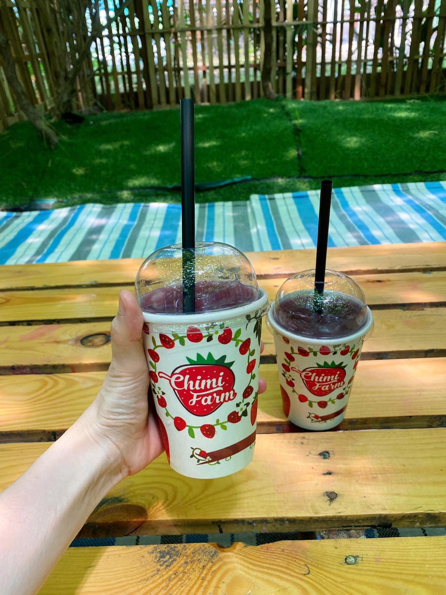 [ĐI HÁI NHO THÔI CÁC BẠN ƠIII]

Địa điểm: Trang trại Chimi Farm 4, Đông Anh, Hà Nội (search gg map là ra nha các bác)

Lỡ hẹn với mùa nho năm ngoái, nay có tin nho mới vào vụ là 2 mẹ con em xách balo lên đường luôn😆 nho trĩu trịt nhìn là mê các bác ạ, trồng cũng thấp thôi nên các bé tha hồ hái nha (các bác nhớ càng đi sâu vào phía trong thì càng nhiều nho nhé). 

Ngoài ra, còn có các dịch vụ khác như: khu cafe xanh mướt cây cối để ngồi nghỉ (giá nước uống từ 40-65k), khu cho động vật ăn (thỏ, hamster, dê, vịt…), tô tượng. 

Chi phí: vườn nho có 2 khu với mức phí 50k (dành cho bạn nào chỉ hái, chụp ảnh chứ không ăn, hái bao nhiêu ra ngoài cân tính tiền - 200k/kg, và thăm khu động vật + 1 suất ăn cho đv) và 250k (như gói 50k nhưng được ăn nho thoải mái trong vườn). 

Mức phí nào cũng được tặng 1 hộp nho nhỏ để mình ăn thử ngay ở quầy bán vé nha😄 cá nhân mình thấy nho khá ngọt và thơm (mua về để tủ lạnh ăn chắc sẽ ngon hơn nữa đó).