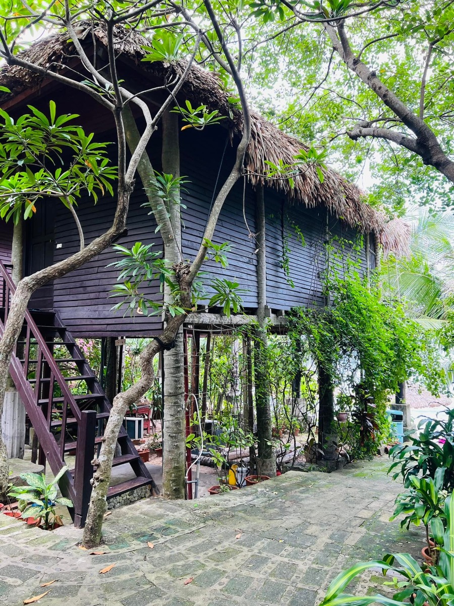 CÁT BÀ - lên rừng xuống biển trong 3 ngày 😎

Nhà mình đi Cát Bà lần đầu năm 2017, ở 2 đêm trong Cát Bà resort và tự lái xe đi loanh quanh. Ấn tượng của mình lúc ấy không khác gì các điểm du lịch biển khác ở miền Bắc cho lắm; thế nên cũng không có ý định quay lại.

Cho đến cách đây khoảng 1 tuần, lũ trẻ con nó than thở thèm biển. Mà đúng đợt cả 2 bố mẹ đều bận. Thứ 7 vẫn phải đi họp phụ huynh cho 2 đứa, đầu tuần sau thì bố mẹ đều có lịch không huỷ được. Thế là nghĩ đến Cát Bà.

Đặt phòng ở Cát Bà sát ngày, lại cuối tuần mùa cao điểm, cộng thêm yêu cầu dạng family 2 giường, chi phí vừa phải nhưng có chỗ chơi cho trẻ con -  dường như là “nhiệm vụ bất khả thi” 🤣 Đến cuối cùng, thực sự là lên kế hoạch chuyến đi theo cách không kỳ vọng nhiều, chỉ cần có chỗ cho lũ trẻ con tắm biển là được.

Ấy thế mà lại có chuyến đi ngoài mong đợi - lại phải rì viu 😎 (hơi ít ảnh vì toàn chụp ảnh bọn trẻ con, không chụp cảnh ạ 😅).

1. Đi lại và chi phí:

Nhà mình tự lái, chọn cung đường như sau vì rất sợ cảnh xếp hàng mòn mỏi ở bến phà 😬
Gần 10h sáng thứ 7 họp phụ huynh xong (trộm vía gia đình vẫn hạnh phúc sau buổi họp này), lên xe phi thẳng cao tốc về Tuần Châu. Ghé Hồng Hạnh ăn trưa rồi ra bến phà Tuần Châu đi chuyến 1h30 chiều.

Vé cao tốc: trừ VETC thẻ chồng, mình k phải trả nên coi như free 😌
Vé phà Tuần Châu - Cát Bà: 300k/xe ô tô, 60k/người.
Phà có 4 chuyến thôi: 9h, 11h30, 13h30, 15h (theo trí nhớ của mình, các bạn nên check lại nhé).

Tại sao lại chọn phà Tuần Châu dù xa hơn?
- Vì có thể tạt qua Tuần Châu ăn trưa 🤣 Với mình hải sản Quảng Ninh vưỡn là số 1.
- Vì đỡ phải xếp hàng (hãy google để biết phà từ Cát Hải đông cỡ nào vào mùa này, nãy mình về là vào sáng thứ 2 mà xe vẫn đang xếp hàng dài 😅).
- Vì được ngắm vịnh. Do quãng đường này sẽ là đi trên vịnh Hạ Long / Lan Hạ tầm 40-50p, tha hồ mà ngắm.
- Từ Tuần Châu sẽ cập Cảng Gia Luận, đi qua Rừng quốc gia Cát Bà để vào trung tâm. Con đường này đẹp và nhiều điểm tham quan.

Chiều về nhà mình đi Cảng Cái Viềng - bến phà Gót (Cát Hải). 1 là để khám phá thêm cung đường khác, 2 là chiều này đỡ đông rồi, phà chạy liên tục, nhà mình tới là có phà đi luôn.

Giá vé là 190k/xe và 10k/người.

2. Ở và ăn chơi:

Vụ này mình đặt theo đúng kiểu: hỏi mà bảo có phòng là đặt luôn, chứ còn chả thèm check review gì trước. Mùa cao điểm mà 😅 Thế nhưng kết quả lại không tồi.

HOI LAKE FARMSTAY:
Đêm đầu mình ở đây, là Farmstay nằm trong Vườn quốc gia Cát Bà. Nó là một dãy bungalow dựng quanh hồ Hới. Nếu đến sớm trước 5h chiều thì bạn đỗ xe ở cổng rồi đi bộ vào (từ cổng Rừng quốc gia vào khoảng 3-400m thôi).

Chỗ này không hợp với bạn nào quen ở chỗ “xịn xịn” vì điều kiện cơ sở vật chất cũ không được đầu tư cải tạo nhiều. 

Bù lại thì cảnh thiên nhiên cực đẹp. Hồ nước ngọt từ trong kẽ đá chảy ra mát lạnh. Cây cối đủ loại nên là thiên đường cho 2 thằng nhà mình. Chúng nó bơi rồi nghịch cả buổi, trời mưa xong bị vắt chui ra cắn vẫn cười phe phé đi khoe khắp nơi 😅

Ở đây có thể trekking quanh rừng quốc gia, cắm trại (có khu vực cho thuê trại và điểm dựng trại). Nếu không thuê bungalow thì tự cắm trại cũng là lựa chọn không tồi đâu ^^
Giá siêu rẻ: 750k/đêm với bungalow 1 giường đôi và 850k/đêm với bungalow family 2 giường, bao gồm ăn sáng (đồ ăn sáng thì tệ nha 😅). Trẻ em phụ thu 150k.

Đồ ăn uống cũng rẻ luôn, nước cam ép, cà phê cũng chỉ tầm 25-30k/ly. Nhân viên thì không chuyên nghiệp nhưng nhiệt tình. Các bạn Tây ba lô có vẻ thích mấy chỗ kiểu này nên mình thấy 3-4 nhóm liền, đông hơn cả khách Việt.

MONKEY ISLAND RESORT:

Nằm trên Đảo Khỉ ngoài vịnh Lan Hạ. Một nơi mà mình nghĩ nhà mình sẽ còn quay lại vì cả nhà đều thích.

Vì nằm ngoài đảo nên để ra đây thì phải đi tàu từ bến Bèo. Trước khi tới tầm 30p bạn liên hệ với resort để cho tàu vào đón. Sau khi được free ngắm vịnh Lan Hạ tầm 20p thì tới đảo. Ở đây cũng là các bungalow, có dạng phòng rẻ nhất là 1tr - và đắt nhất là bungalow riêng view biển 2 giường thì 2.3tr. Giá bao gồm ăn sáng, phụ thu trẻ em 200k.

Nằm sâu trong vịnh nên nước biển trong, buổi sáng có rác (chủ yếu là bèo) dạt vào - nhưng về cơ bản là nước vẫn sạch. Bãi có sỏi và đá nhỏ chứ k phải cát mịn như biển miền Trung. Thế nhưng so với biển miền Bắc thì vẫn ổn rồi.

Do mọi thứ trên đảo phải mang từ đất liền vào nên bạn sẽ được nhắc cần tiết kiệm nước. Điện cũng phải chạy máy phát nên tầm trưa và tối mới có điều hoà. Tuy nhiên mình đi vào ngày mát mẻ, gió cũng lồng lộng suốt ngày ấy nên dễ chịu lắm. Từ bungalow nhìn thẳng ra vịnh, cảnh siêu đẹp. Bơi chán là 2 đứa nhà mình lại nằm ườn ngoài ban công ngắm biển, đọc sách.

Đặc sản trên đảo này, ngoài biển, là chó và khỉ ^^ Bọn chó dễ thương kinh khủng. Đặc biệt là bạn Kem, cứ có khách đến là chạy ra đón, rồi khách lên tàu về lại lon ton ra tiễn, rất thích chơi với trẻ con nữa. Bọn trẻ con nhà mình mê mẩn lắm.

Còn lũ khỉ thì không mê nổi 🥹 Đảo của chúng nó mà. Đồ ăn để ngoài hay quên k đóng cửa phòng là chúng nó lao vào ăn trộm luôn 🥲 Mình nhìn mấy con to đùng sợ khiếp vía, 2 thằng con thì rủ chó đi trêu khỉ 😏 

Nghe nói còn vài cái resort ở các đảo riêng biệt kiểu này loanh quanh vịnh nữa. Cát Bà bắt đầu hấp dẫn nhà mình rồi đấy ^^