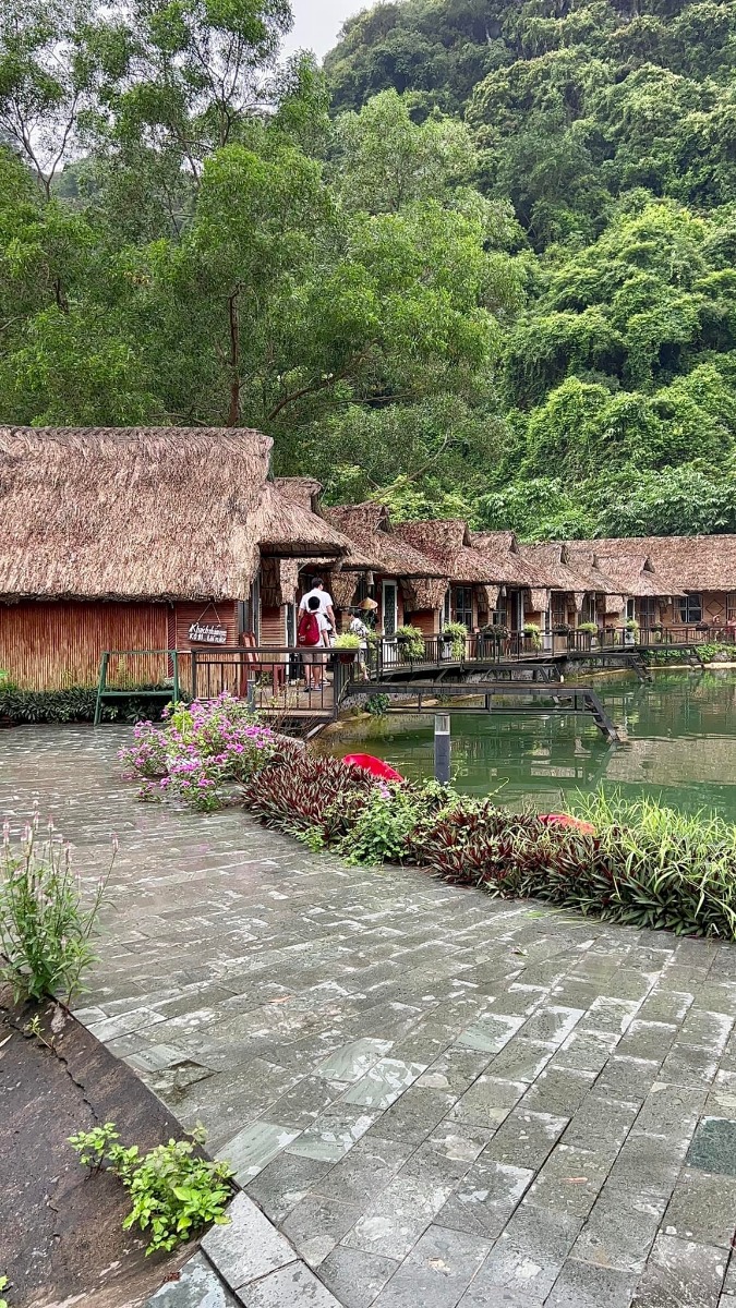 CÁT BÀ - lên rừng xuống biển trong 3 ngày 😎

Nhà mình đi Cát Bà lần đầu năm 2017, ở 2 đêm trong Cát Bà resort và tự lái xe đi loanh quanh. Ấn tượng của mình lúc ấy không khác gì các điểm du lịch biển khác ở miền Bắc cho lắm; thế nên cũng không có ý định quay lại.

Cho đến cách đây khoảng 1 tuần, lũ trẻ con nó than thở thèm biển. Mà đúng đợt cả 2 bố mẹ đều bận. Thứ 7 vẫn phải đi họp phụ huynh cho 2 đứa, đầu tuần sau thì bố mẹ đều có lịch không huỷ được. Thế là nghĩ đến Cát Bà.

Đặt phòng ở Cát Bà sát ngày, lại cuối tuần mùa cao điểm, cộng thêm yêu cầu dạng family 2 giường, chi phí vừa phải nhưng có chỗ chơi cho trẻ con -  dường như là “nhiệm vụ bất khả thi” 🤣 Đến cuối cùng, thực sự là lên kế hoạch chuyến đi theo cách không kỳ vọng nhiều, chỉ cần có chỗ cho lũ trẻ con tắm biển là được.

Ấy thế mà lại có chuyến đi ngoài mong đợi - lại phải rì viu 😎 (hơi ít ảnh vì toàn chụp ảnh bọn trẻ con, không chụp cảnh ạ 😅).

1. Đi lại và chi phí:

Nhà mình tự lái, chọn cung đường như sau vì rất sợ cảnh xếp hàng mòn mỏi ở bến phà 😬
Gần 10h sáng thứ 7 họp phụ huynh xong (trộm vía gia đình vẫn hạnh phúc sau buổi họp này), lên xe phi thẳng cao tốc về Tuần Châu. Ghé Hồng Hạnh ăn trưa rồi ra bến phà Tuần Châu đi chuyến 1h30 chiều.

Vé cao tốc: trừ VETC thẻ chồng, mình k phải trả nên coi như free 😌
Vé phà Tuần Châu - Cát Bà: 300k/xe ô tô, 60k/người.
Phà có 4 chuyến thôi: 9h, 11h30, 13h30, 15h (theo trí nhớ của mình, các bạn nên check lại nhé).

Tại sao lại chọn phà Tuần Châu dù xa hơn?
- Vì có thể tạt qua Tuần Châu ăn trưa 🤣 Với mình hải sản Quảng Ninh vưỡn là số 1.
- Vì đỡ phải xếp hàng (hãy google để biết phà từ Cát Hải đông cỡ nào vào mùa này, nãy mình về là vào sáng thứ 2 mà xe vẫn đang xếp hàng dài 😅).
- Vì được ngắm vịnh. Do quãng đường này sẽ là đi trên vịnh Hạ Long / Lan Hạ tầm 40-50p, tha hồ mà ngắm.
- Từ Tuần Châu sẽ cập Cảng Gia Luận, đi qua Rừng quốc gia Cát Bà để vào trung tâm. Con đường này đẹp và nhiều điểm tham quan.

Chiều về nhà mình đi Cảng Cái Viềng - bến phà Gót (Cát Hải). 1 là để khám phá thêm cung đường khác, 2 là chiều này đỡ đông rồi, phà chạy liên tục, nhà mình tới là có phà đi luôn.

Giá vé là 190k/xe và 10k/người.

2. Ở và ăn chơi:

Vụ này mình đặt theo đúng kiểu: hỏi mà bảo có phòng là đặt luôn, chứ còn chả thèm check review gì trước. Mùa cao điểm mà 😅 Thế nhưng kết quả lại không tồi.

HOI LAKE FARMSTAY:
Đêm đầu mình ở đây, là Farmstay nằm trong Vườn quốc gia Cát Bà. Nó là một dãy bungalow dựng quanh hồ Hới. Nếu đến sớm trước 5h chiều thì bạn đỗ xe ở cổng rồi đi bộ vào (từ cổng Rừng quốc gia vào khoảng 3-400m thôi).

Chỗ này không hợp với bạn nào quen ở chỗ “xịn xịn” vì điều kiện cơ sở vật chất cũ không được đầu tư cải tạo nhiều. 

Bù lại thì cảnh thiên nhiên cực đẹp. Hồ nước ngọt từ trong kẽ đá chảy ra mát lạnh. Cây cối đủ loại nên là thiên đường cho 2 thằng nhà mình. Chúng nó bơi rồi nghịch cả buổi, trời mưa xong bị vắt chui ra cắn vẫn cười phe phé đi khoe khắp nơi 😅

Ở đây có thể trekking quanh rừng quốc gia, cắm trại (có khu vực cho thuê trại và điểm dựng trại). Nếu không thuê bungalow thì tự cắm trại cũng là lựa chọn không tồi đâu ^^
Giá siêu rẻ: 750k/đêm với bungalow 1 giường đôi và 850k/đêm với bungalow family 2 giường, bao gồm ăn sáng (đồ ăn sáng thì tệ nha 😅). Trẻ em phụ thu 150k.

Đồ ăn uống cũng rẻ luôn, nước cam ép, cà phê cũng chỉ tầm 25-30k/ly. Nhân viên thì không chuyên nghiệp nhưng nhiệt tình. Các bạn Tây ba lô có vẻ thích mấy chỗ kiểu này nên mình thấy 3-4 nhóm liền, đông hơn cả khách Việt.

MONKEY ISLAND RESORT:

Nằm trên Đảo Khỉ ngoài vịnh Lan Hạ. Một nơi mà mình nghĩ nhà mình sẽ còn quay lại vì cả nhà đều thích.

Vì nằm ngoài đảo nên để ra đây thì phải đi tàu từ bến Bèo. Trước khi tới tầm 30p bạn liên hệ với resort để cho tàu vào đón. Sau khi được free ngắm vịnh Lan Hạ tầm 20p thì tới đảo. Ở đây cũng là các bungalow, có dạng phòng rẻ nhất là 1tr - và đắt nhất là bungalow riêng view biển 2 giường thì 2.3tr. Giá bao gồm ăn sáng, phụ thu trẻ em 200k.

Nằm sâu trong vịnh nên nước biển trong, buổi sáng có rác (chủ yếu là bèo) dạt vào - nhưng về cơ bản là nước vẫn sạch. Bãi có sỏi và đá nhỏ chứ k phải cát mịn như biển miền Trung. Thế nhưng so với biển miền Bắc thì vẫn ổn rồi.

Do mọi thứ trên đảo phải mang từ đất liền vào nên bạn sẽ được nhắc cần tiết kiệm nước. Điện cũng phải chạy máy phát nên tầm trưa và tối mới có điều hoà. Tuy nhiên mình đi vào ngày mát mẻ, gió cũng lồng lộng suốt ngày ấy nên dễ chịu lắm. Từ bungalow nhìn thẳng ra vịnh, cảnh siêu đẹp. Bơi chán là 2 đứa nhà mình lại nằm ườn ngoài ban công ngắm biển, đọc sách.

Đặc sản trên đảo này, ngoài biển, là chó và khỉ ^^ Bọn chó dễ thương kinh khủng. Đặc biệt là bạn Kem, cứ có khách đến là chạy ra đón, rồi khách lên tàu về lại lon ton ra tiễn, rất thích chơi với trẻ con nữa. Bọn trẻ con nhà mình mê mẩn lắm.

Còn lũ khỉ thì không mê nổi 🥹 Đảo của chúng nó mà. Đồ ăn để ngoài hay quên k đóng cửa phòng là chúng nó lao vào ăn trộm luôn 🥲 Mình nhìn mấy con to đùng sợ khiếp vía, 2 thằng con thì rủ chó đi trêu khỉ 😏 

Nghe nói còn vài cái resort ở các đảo riêng biệt kiểu này loanh quanh vịnh nữa. Cát Bà bắt đầu hấp dẫn nhà mình rồi đấy ^^