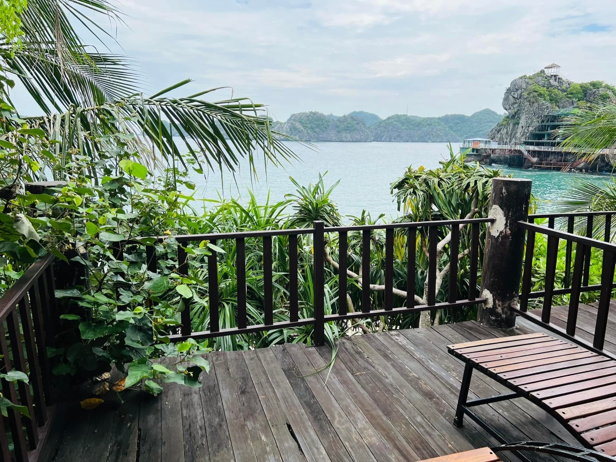 CÁT BÀ - lên rừng xuống biển trong 3 ngày 😎

Nhà mình đi Cát Bà lần đầu năm 2017, ở 2 đêm trong Cát Bà resort và tự lái xe đi loanh quanh. Ấn tượng của mình lúc ấy không khác gì các điểm du lịch biển khác ở miền Bắc cho lắm; thế nên cũng không có ý định quay lại.

Cho đến cách đây khoảng 1 tuần, lũ trẻ con nó than thở thèm biển. Mà đúng đợt cả 2 bố mẹ đều bận. Thứ 7 vẫn phải đi họp phụ huynh cho 2 đứa, đầu tuần sau thì bố mẹ đều có lịch không huỷ được. Thế là nghĩ đến Cát Bà.

Đặt phòng ở Cát Bà sát ngày, lại cuối tuần mùa cao điểm, cộng thêm yêu cầu dạng family 2 giường, chi phí vừa phải nhưng có chỗ chơi cho trẻ con -  dường như là “nhiệm vụ bất khả thi” 🤣 Đến cuối cùng, thực sự là lên kế hoạch chuyến đi theo cách không kỳ vọng nhiều, chỉ cần có chỗ cho lũ trẻ con tắm biển là được.

Ấy thế mà lại có chuyến đi ngoài mong đợi - lại phải rì viu 😎 (hơi ít ảnh vì toàn chụp ảnh bọn trẻ con, không chụp cảnh ạ 😅).

1. Đi lại và chi phí:

Nhà mình tự lái, chọn cung đường như sau vì rất sợ cảnh xếp hàng mòn mỏi ở bến phà 😬
Gần 10h sáng thứ 7 họp phụ huynh xong (trộm vía gia đình vẫn hạnh phúc sau buổi họp này), lên xe phi thẳng cao tốc về Tuần Châu. Ghé Hồng Hạnh ăn trưa rồi ra bến phà Tuần Châu đi chuyến 1h30 chiều.

Vé cao tốc: trừ VETC thẻ chồng, mình k phải trả nên coi như free 😌
Vé phà Tuần Châu - Cát Bà: 300k/xe ô tô, 60k/người.
Phà có 4 chuyến thôi: 9h, 11h30, 13h30, 15h (theo trí nhớ của mình, các bạn nên check lại nhé).

Tại sao lại chọn phà Tuần Châu dù xa hơn?
- Vì có thể tạt qua Tuần Châu ăn trưa 🤣 Với mình hải sản Quảng Ninh vưỡn là số 1.
- Vì đỡ phải xếp hàng (hãy google để biết phà từ Cát Hải đông cỡ nào vào mùa này, nãy mình về là vào sáng thứ 2 mà xe vẫn đang xếp hàng dài 😅).
- Vì được ngắm vịnh. Do quãng đường này sẽ là đi trên vịnh Hạ Long / Lan Hạ tầm 40-50p, tha hồ mà ngắm.
- Từ Tuần Châu sẽ cập Cảng Gia Luận, đi qua Rừng quốc gia Cát Bà để vào trung tâm. Con đường này đẹp và nhiều điểm tham quan.

Chiều về nhà mình đi Cảng Cái Viềng - bến phà Gót (Cát Hải). 1 là để khám phá thêm cung đường khác, 2 là chiều này đỡ đông rồi, phà chạy liên tục, nhà mình tới là có phà đi luôn.

Giá vé là 190k/xe và 10k/người.

2. Ở và ăn chơi:

Vụ này mình đặt theo đúng kiểu: hỏi mà bảo có phòng là đặt luôn, chứ còn chả thèm check review gì trước. Mùa cao điểm mà 😅 Thế nhưng kết quả lại không tồi.

HOI LAKE FARMSTAY:
Đêm đầu mình ở đây, là Farmstay nằm trong Vườn quốc gia Cát Bà. Nó là một dãy bungalow dựng quanh hồ Hới. Nếu đến sớm trước 5h chiều thì bạn đỗ xe ở cổng rồi đi bộ vào (từ cổng Rừng quốc gia vào khoảng 3-400m thôi).

Chỗ này không hợp với bạn nào quen ở chỗ “xịn xịn” vì điều kiện cơ sở vật chất cũ không được đầu tư cải tạo nhiều. 

Bù lại thì cảnh thiên nhiên cực đẹp. Hồ nước ngọt từ trong kẽ đá chảy ra mát lạnh. Cây cối đủ loại nên là thiên đường cho 2 thằng nhà mình. Chúng nó bơi rồi nghịch cả buổi, trời mưa xong bị vắt chui ra cắn vẫn cười phe phé đi khoe khắp nơi 😅

Ở đây có thể trekking quanh rừng quốc gia, cắm trại (có khu vực cho thuê trại và điểm dựng trại). Nếu không thuê bungalow thì tự cắm trại cũng là lựa chọn không tồi đâu ^^
Giá siêu rẻ: 750k/đêm với bungalow 1 giường đôi và 850k/đêm với bungalow family 2 giường, bao gồm ăn sáng (đồ ăn sáng thì tệ nha 😅). Trẻ em phụ thu 150k.

Đồ ăn uống cũng rẻ luôn, nước cam ép, cà phê cũng chỉ tầm 25-30k/ly. Nhân viên thì không chuyên nghiệp nhưng nhiệt tình. Các bạn Tây ba lô có vẻ thích mấy chỗ kiểu này nên mình thấy 3-4 nhóm liền, đông hơn cả khách Việt.

MONKEY ISLAND RESORT:

Nằm trên Đảo Khỉ ngoài vịnh Lan Hạ. Một nơi mà mình nghĩ nhà mình sẽ còn quay lại vì cả nhà đều thích.

Vì nằm ngoài đảo nên để ra đây thì phải đi tàu từ bến Bèo. Trước khi tới tầm 30p bạn liên hệ với resort để cho tàu vào đón. Sau khi được free ngắm vịnh Lan Hạ tầm 20p thì tới đảo. Ở đây cũng là các bungalow, có dạng phòng rẻ nhất là 1tr - và đắt nhất là bungalow riêng view biển 2 giường thì 2.3tr. Giá bao gồm ăn sáng, phụ thu trẻ em 200k.

Nằm sâu trong vịnh nên nước biển trong, buổi sáng có rác (chủ yếu là bèo) dạt vào - nhưng về cơ bản là nước vẫn sạch. Bãi có sỏi và đá nhỏ chứ k phải cát mịn như biển miền Trung. Thế nhưng so với biển miền Bắc thì vẫn ổn rồi.

Do mọi thứ trên đảo phải mang từ đất liền vào nên bạn sẽ được nhắc cần tiết kiệm nước. Điện cũng phải chạy máy phát nên tầm trưa và tối mới có điều hoà. Tuy nhiên mình đi vào ngày mát mẻ, gió cũng lồng lộng suốt ngày ấy nên dễ chịu lắm. Từ bungalow nhìn thẳng ra vịnh, cảnh siêu đẹp. Bơi chán là 2 đứa nhà mình lại nằm ườn ngoài ban công ngắm biển, đọc sách.

Đặc sản trên đảo này, ngoài biển, là chó và khỉ ^^ Bọn chó dễ thương kinh khủng. Đặc biệt là bạn Kem, cứ có khách đến là chạy ra đón, rồi khách lên tàu về lại lon ton ra tiễn, rất thích chơi với trẻ con nữa. Bọn trẻ con nhà mình mê mẩn lắm.

Còn lũ khỉ thì không mê nổi 🥹 Đảo của chúng nó mà. Đồ ăn để ngoài hay quên k đóng cửa phòng là chúng nó lao vào ăn trộm luôn 🥲 Mình nhìn mấy con to đùng sợ khiếp vía, 2 thằng con thì rủ chó đi trêu khỉ 😏 

Nghe nói còn vài cái resort ở các đảo riêng biệt kiểu này loanh quanh vịnh nữa. Cát Bà bắt đầu hấp dẫn nhà mình rồi đấy ^^