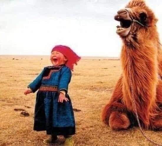 HÃY NHÌN TẤM HÌNH NÀY 17 GIÂY!!

Đó là thí nghiệm của Neville, một Bậc thầy của thế giới về Luật Hấp Dẫn, người sáng lập nên Phương pháp Neville nổi tiếng. Tiến sĩ bắt đầu thí nghiệm, bắt đầu một ngày mới, ông đứng nhìn vào một tấm hình ai đó với nụ cười thật tươi ít nhất 17 giây. Và kết quả là, ngày đó, ông gặp được rất nhiều may mắn và mọi việc trôi chảy khác thường.

Ngày thứ 2 tiếp tục làm thí nghiệm ngược lại. Ông đổi tấm hình khác với gương mặt khó chịu, oán hận. Cũng tập trung vào đó 17s. Kết quả là, ông có một ngày tệ hại, những điều không may đã xảy đến.

Vào một buổi sáng, sau khi đứng chăm chú ngắm nhìn một tấm hình với gương mặt cau có. Ông thay đồ ra ngoài. Vừa lái xe ra khỏi cổng, ông bị một chiếc ô tô mất thắng lao tới đâm phải. Tai nạn này lấy đi của ông 3 cái xương sườn. Đó cũng là lúc thí nghiệm kết thúc sau 844 ngày nghiên cứu.

Quy Luật 17S của Neville ra đời từ đó và ông viết nó trong cuốn 17S Law.
Ông giải thích:

1. CẢM XÚC, LÀ MỘT LOẠI NĂNG LƯỢNG là thứ dễ dàng lây lan. Dù muốn hay không. Vì vậy, hãy ở gần những người có năng lượng TÍCH CỰC.

2. TẠI SAO là 17s? Vì 17s là thời gian tối thiểu để não bộ sắp xếp lại hệ thần kinh. Và nó sẽ sao chép đúng những gì được nhìn thấy. Nếu tập trung vào một gương mặt vui tươi, bạn sẽ sao chép được sự vui tươi.
Và theo Luật Hấp Dẫn: Khi bạn vui lên, thì đời sẽ hên. 😊