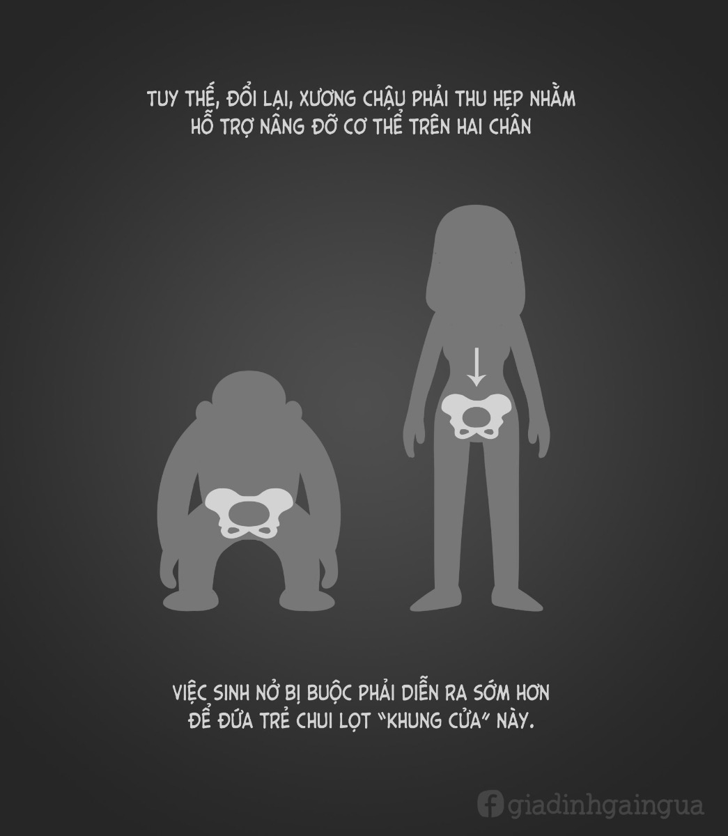 NUÔI CON NHƯ MỘT CUỘC CHIẾN.
Gửi tặng những người đã - đang và sắp làm mẹ ❤️

Nguồn: Gia đình gãi ngứa