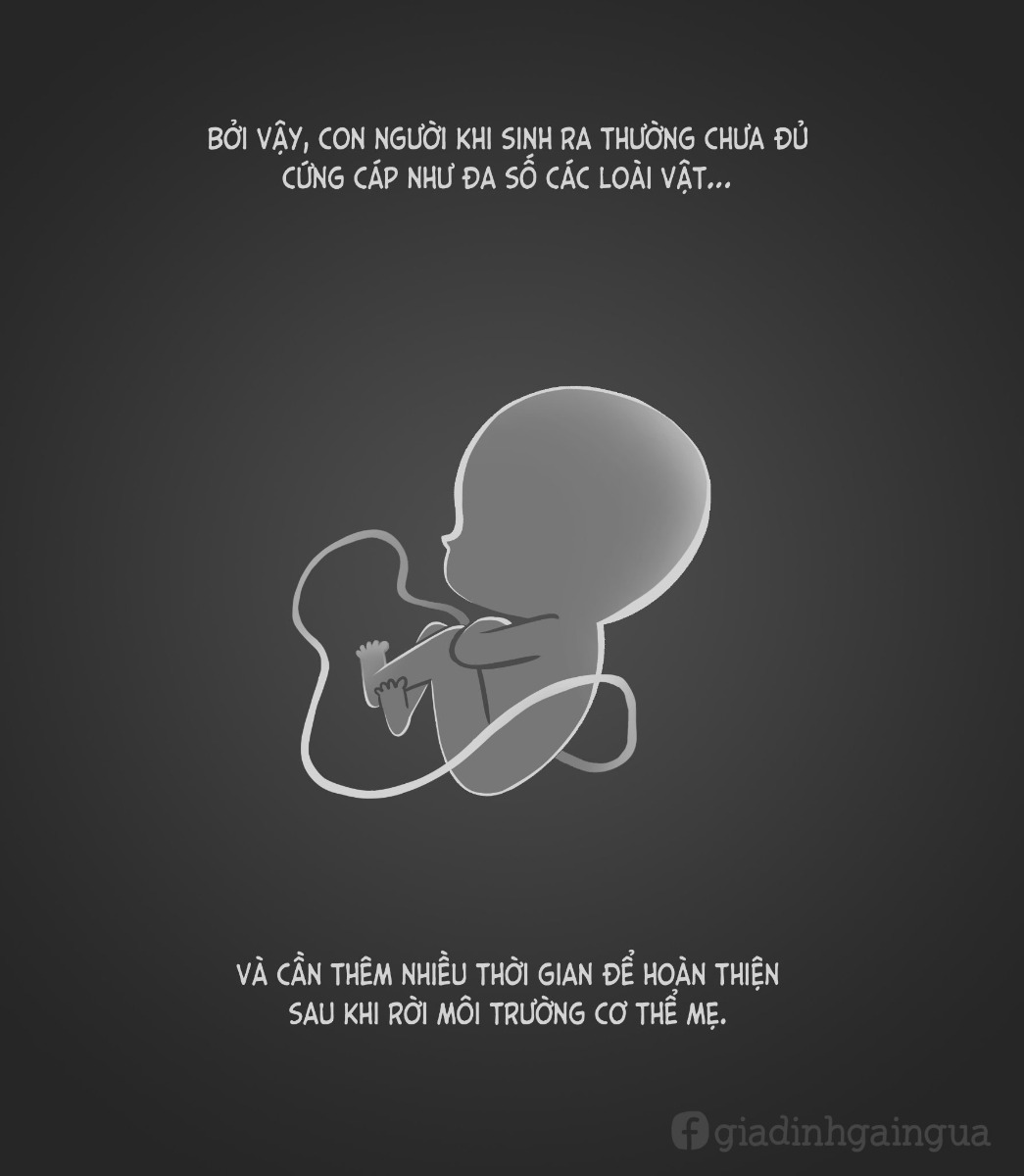 NUÔI CON NHƯ MỘT CUỘC CHIẾN.
Gửi tặng những người đã - đang và sắp làm mẹ ❤️

Nguồn: Gia đình gãi ngứa