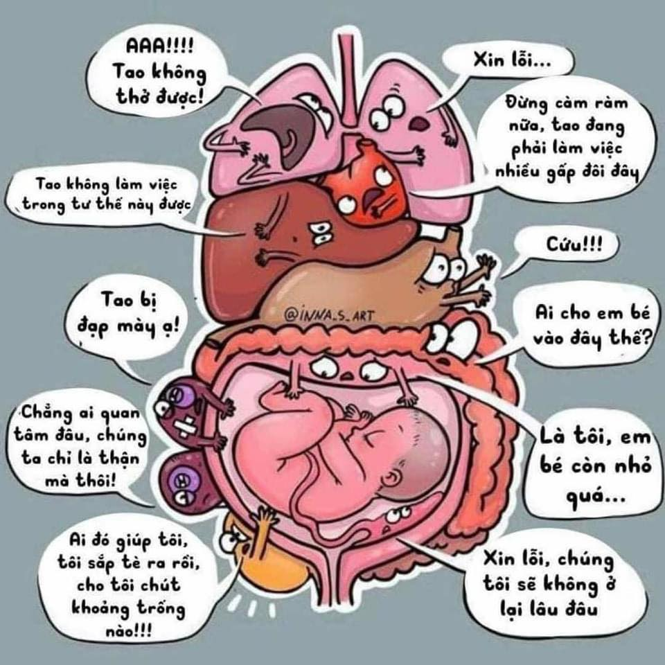 Cơ thể người mẹ khi mang bầu...

(Cre: Y học hội hoạ)