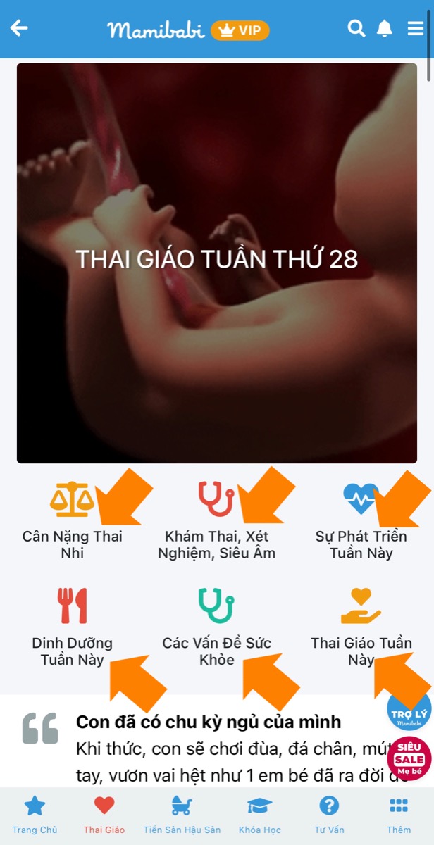 6 YẾU TỐ MẸ BẦU CẦN QUAN TÂM Ở MỖI TUẦN THAI 

Khi thai giáo với Mamibabi, mẹ sẽ thấy màn hình hiển thị ảnh mô phỏng em bé. Mẹ bấm vào ảnh sẽ thấy hiện ra 6 thông tin sau:

- Cân nặng thai nhi
- Khám thai, xét nghiệm, siêu âm
- Sự phát triển tuần này
- Dinh dưỡng tuần này
- Các vấn đề sức khoẻ
- Thai giáo tuần này

Mẹ quan tâm tới thông tin nào thì bấm vào biểu tượng thông tin đó nhé. Cả 6 thông tin đều rất quan trọng và mẹ nên theo dõi sát sao mỗi tuần.

Để xem được đầy đủ thông tin 40 tuần thai mẹ xem tại đây https://mamibabi.com.vn/thaigiao/theotuan
____________________________________

Mamibabi là ứng dụng thai giáo và giáo dục sớm duy nhất tại Việt Nam:
• Được sáng lập bởi chuyên gia thai giáo Phạm Ngọc Thắng, tác giả cuốn sách “Rủ chồng thai giáo”
• Được xây dựng theo hướng “1 tài khoản – ngàn nội dung”, bạn chỉ cần mua tài khoản VIP Mom 1 lần duy nhất để đọc hàng ngàn nội dung về nuôi dạy con. 

- Hơn 3000 hoạt động thai giáo giúp mẹ vui bé khỏe https://mamibabi.com.vn/vip/info?mode=1
- Hơn 1000 bản nhạc thai giáo và karaoke thai giáo
- Hơn 1000 bài thơ và câu truyện thai giáo tiếng Anh, tiếng Việt, Ehon, audio
- Hơn 500 hoạt động giáo dục sớm cho bé từ 0 - 6 tuổi
- Hơn 300 món ăn dặm cho bé từ 6 tháng đến 2 tuổi  
- Thực đơn 280 ngày mang thai cho mẹ bầu  
- 44 khóa học toàn diện và chuyên sâu dành cho mẹ bầu và bé 0 - 6 tuổi: https://mamibabi.com.vn/khoa-hoc