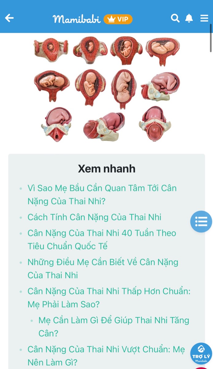 4 CHỈ SỐ MẸ BẦU NÊN THEO DÕI TRONG THAI KỲ CỦA MÌNH

Cân nặng mẹ bầu 40 tuần thai https://mamibabi.com.vn/special/pregnancy_weight_gain 

Cân nặng thai nhi 40 tuần thai https://mamibabi.com.vn/news/95/can-nang-va-chieu-dai-thai-nhi-theo-chuan-who-2021

Lịch khám thai và xét nghiệm https://mamibabi.com.vn/news/281/lich-kham-thai-xet-nghiem-tiem-phong-day-du-trong-suot-thai-ky-cap-nhat-moi-nhat-2020

Đếm cử động thai trong trường hợp bé ít đạp 
https://mamibabi.com.vn/baby/yogakick
____________________________________

Mamibabi là ứng dụng thai giáo và giáo dục sớm duy nhất tại Việt Nam:
• Được sáng lập bởi chuyên gia thai giáo Phạm Ngọc Thắng, tác giả cuốn sách “Rủ chồng thai giáo”
• Được xây dựng theo hướng “1 tài khoản – ngàn nội dung”, bạn chỉ cần mua tài khoản VIP Mom 1 lần duy nhất để đọc hàng ngàn nội dung về nuôi dạy con. 

- Hơn 3000 hoạt động thai giáo giúp mẹ vui bé khỏe https://mamibabi.com.vn/vip/info?mode=1
- Hơn 1000 bản nhạc thai giáo và karaoke thai giáo
- Hơn 1000 bài thơ và câu truyện thai giáo tiếng Anh, tiếng Việt, Ehon, audio
- Hơn 500 hoạt động giáo dục sớm cho bé từ 0 - 6 tuổi
- Hơn 300 món ăn dặm cho bé từ 6 tháng đến 2 tuổi  
- Thực đơn 280 ngày mang thai cho mẹ bầu  
- 56 khóa học toàn diện và chuyên sâu dành cho mẹ bầu và bé 0 - 6 tuổi: https://mamibabi.com.vn/khoa-hoc