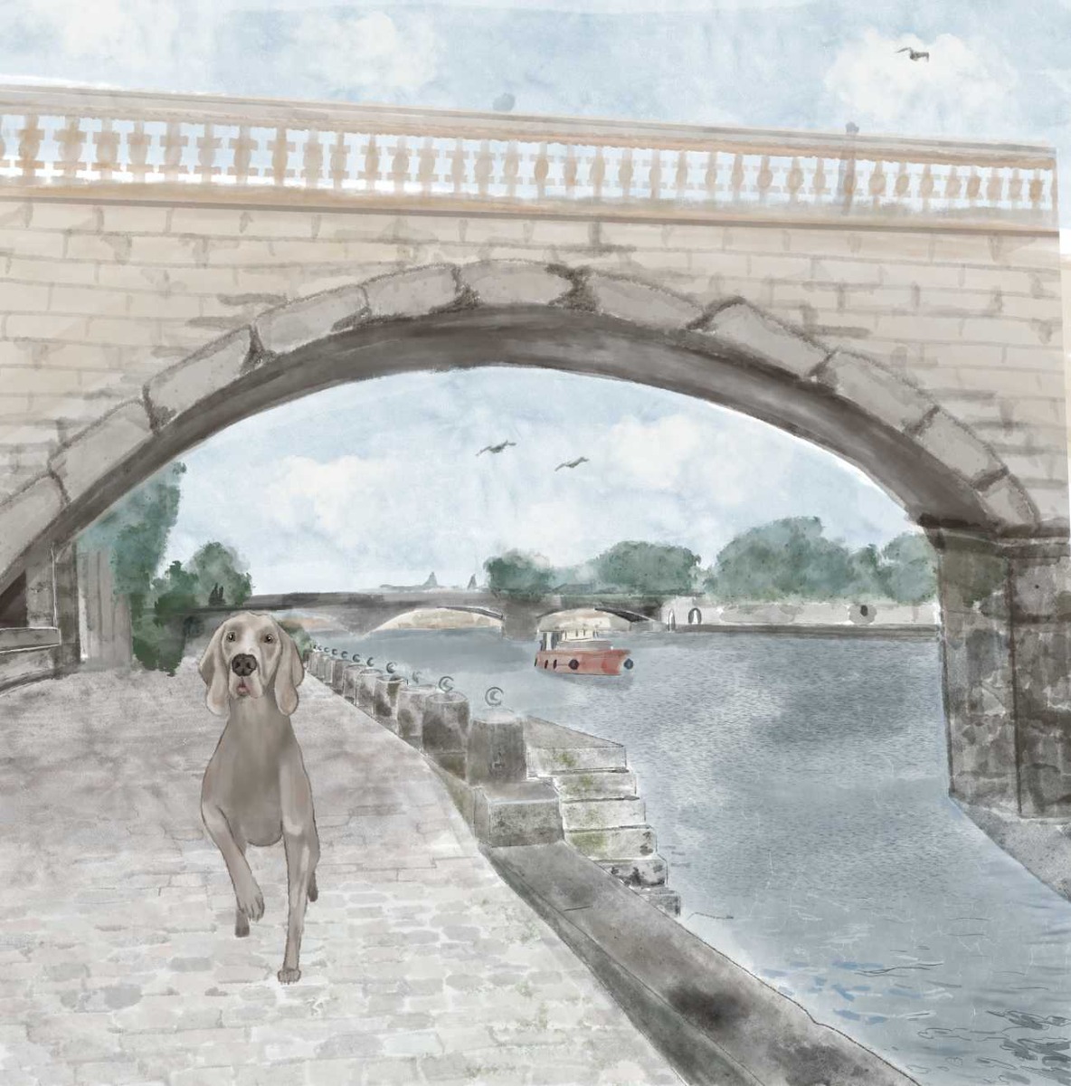 Truyện thai giáo tiếng Anh (Thai giáo ngoại ngữ): A Puppy Lost in Paris