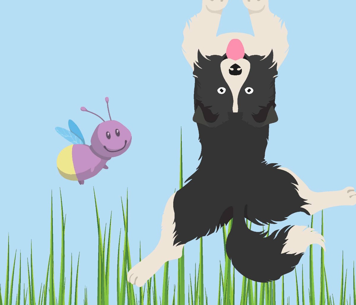 Truyện thai giáo tiếng Anh (Thai giáo ngoại ngữ): Finnbar and the Firefly