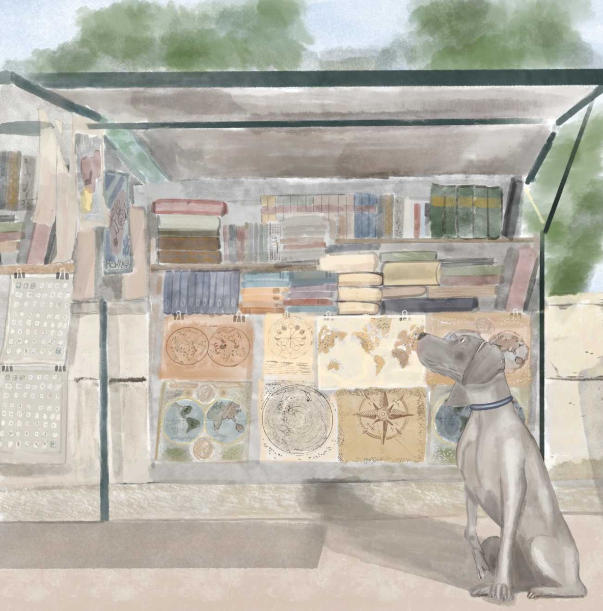 Truyện thai giáo tiếng Anh (Thai giáo ngoại ngữ): A Puppy Lost in Paris