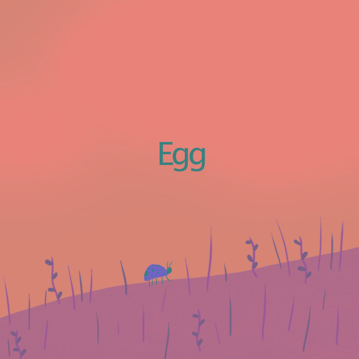 Truyện thai giáo tiếng Anh (Thai giáo ngoại ngữ): Whose egg is this?