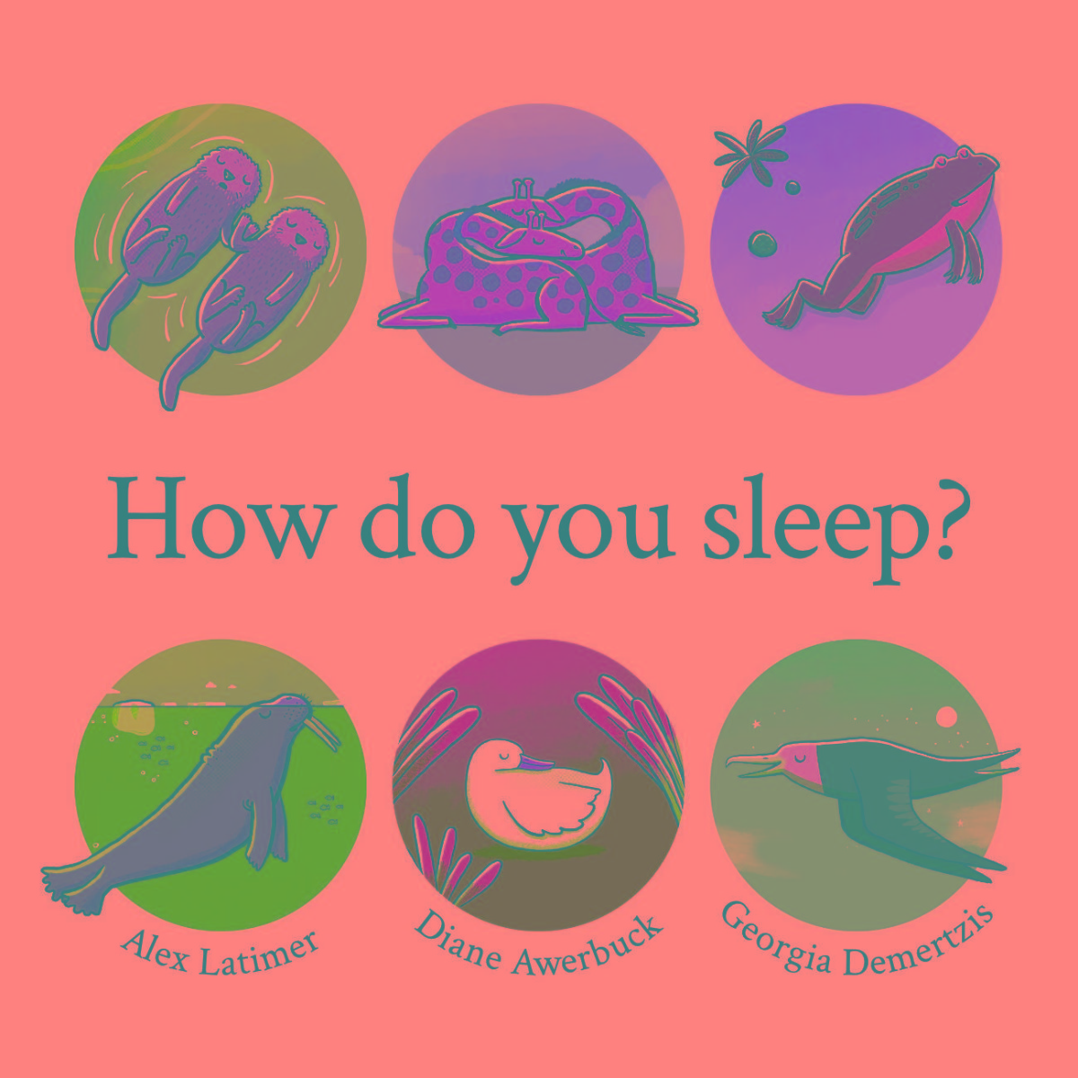 Truyện thai giáo tiếng Anh (Thai giáo ngoại ngữ): How Do You Sleep?