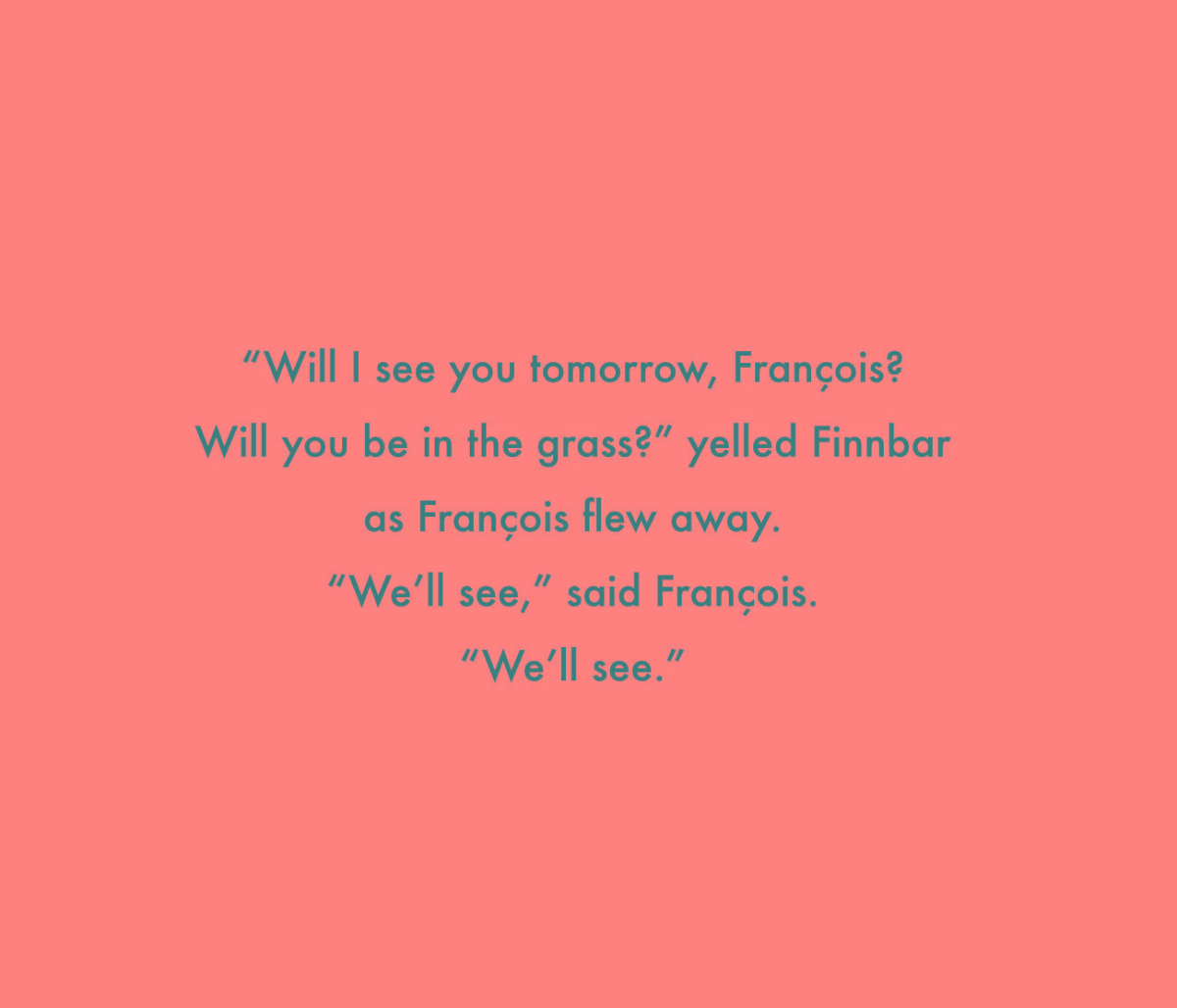 Truyện thai giáo tiếng Anh (Thai giáo ngoại ngữ): Finnbar and the Firefly