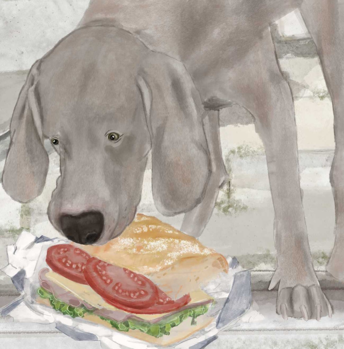 Truyện thai giáo tiếng Anh (Thai giáo ngoại ngữ): A Puppy Lost in Paris