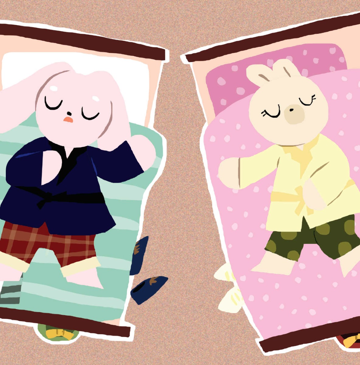 Truyện thai giáo tiếng Anh (Thai giáo ngoại ngữ): A Pillowcase Is Just Too Big!