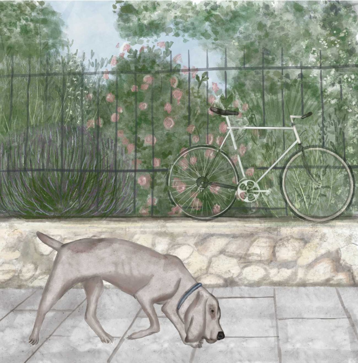 Truyện thai giáo tiếng Anh (Thai giáo ngoại ngữ): A Puppy Lost in Paris